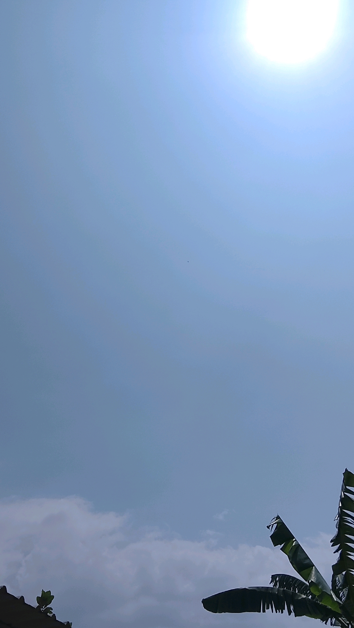 The image shows a bright sun in the upper right corner against a clear blue sky. There are some fluffy clouds at the bottom of the frame, and a small, dark speck, possibly a bird, is visible in the center of the sky. In the lower left corner, a portion of a roof is visible, along with a few green leaves. In the lower right corner, parts of large, dark green leaves, likely from a banana plant, are visible. The scene appears to be outdoors in daylight. The image was captured in Slawi, Indonesia.