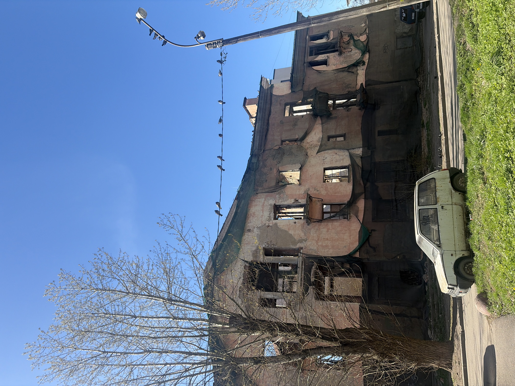 This image depicts a dilapidated urban street scene in Saint Petersburg, Russia, under a clear, bright blue sky. The central subject is a multi-story building, severely deteriorated with crumbling, faded pinkish-brown plaster peeling off its facade, revealing the underlying brick or stone. Many windows are broken, empty frames, or boarded up, suggesting the building is abandoned or in a state of extreme disrepair. Sections of its exterior are partially covered with green netting or tarpaulin, possibly for safety or containment.
To the left, a large deciduous tree with bare branches, indicative of late winter or early spring, dominates the lower and mid-ground, partially obscuring the building. A tall, dark street lamp post with a curved arm stands prominent, extending into the sky. Numerous small birds, likely pigeons, are perched along the wires extending from the lamp post and on the post itself. Several more birds are scattered on the paved sidewalk below.
A small, light-colored, older model car, possibly a Lada or similar compact vehicle, is parked on the right side of a paved road, partially on a strip of vibrant green grass. The car appears weathered. The scene is brightly illuminated by direct sunlight, casting distinct shadows on the road, suggesting a clear, sunny day, likely late morning or early afternoon. No people are visible. No clearly legible text is present on the building or car. The overall atmosphere conveys a sense of urban decay and neglect, juxtaposed with the crisp, bright weather and emerging spring greenery.