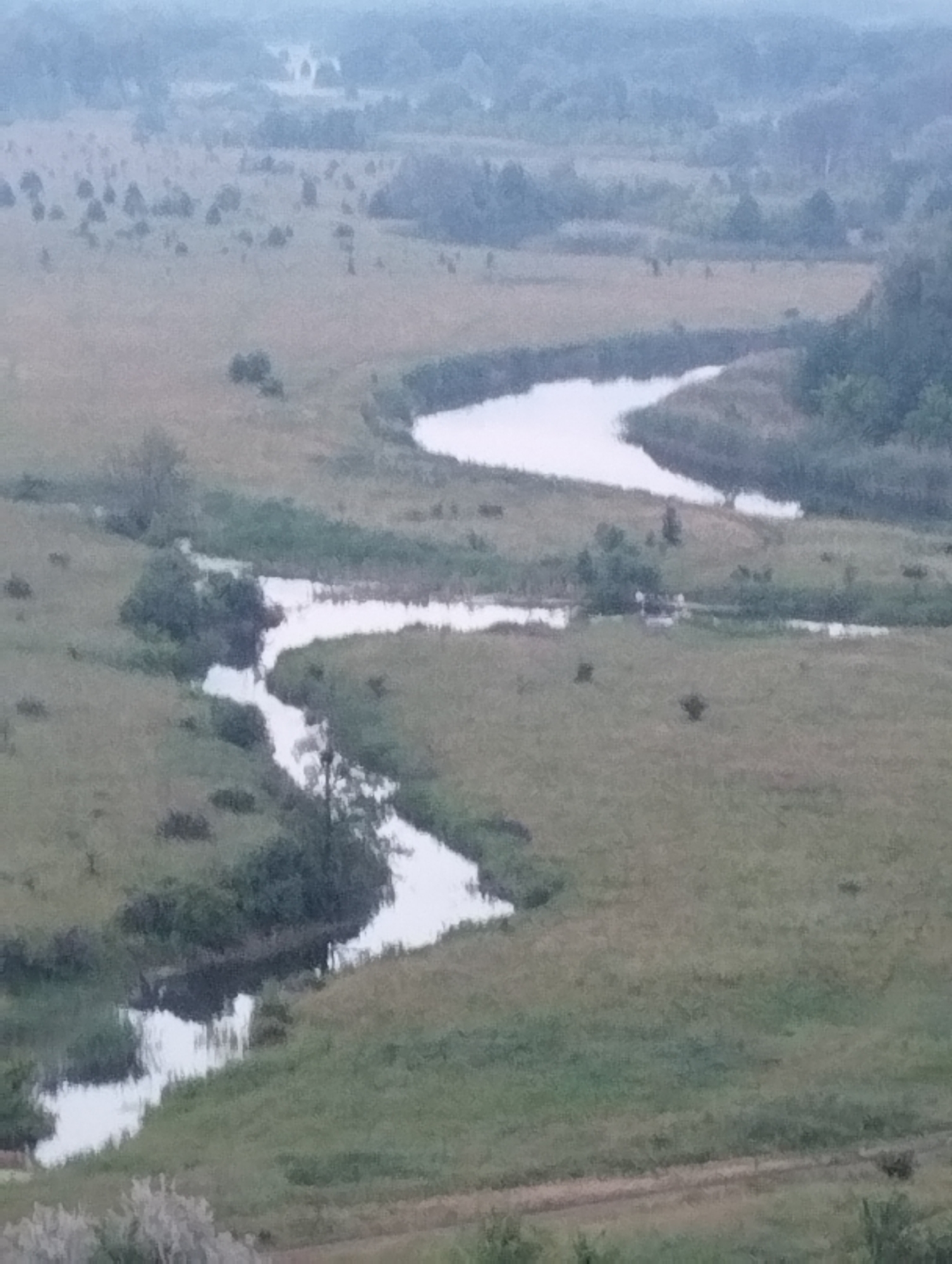 A high-angle, wide shot captures a natural landscape characterized by a meandering river flowing through grassy fields and wooded areas. The scene appears to be a rural or undeveloped location, possibly a park or nature reserve. The sky is overcast, casting a muted light over the entire panorama. The river, a prominent element, exhibits a light color, reflecting the sky, and its banks are lined with vegetation. The terrain is gently undulating, with patches of trees scattered throughout the open fields. The overall impression is one of tranquility and natural beauty, with no signs of human activity or urban structures visible in the frame. The image has a soft focus, lending it a slightly dreamlike or impressionistic quality.