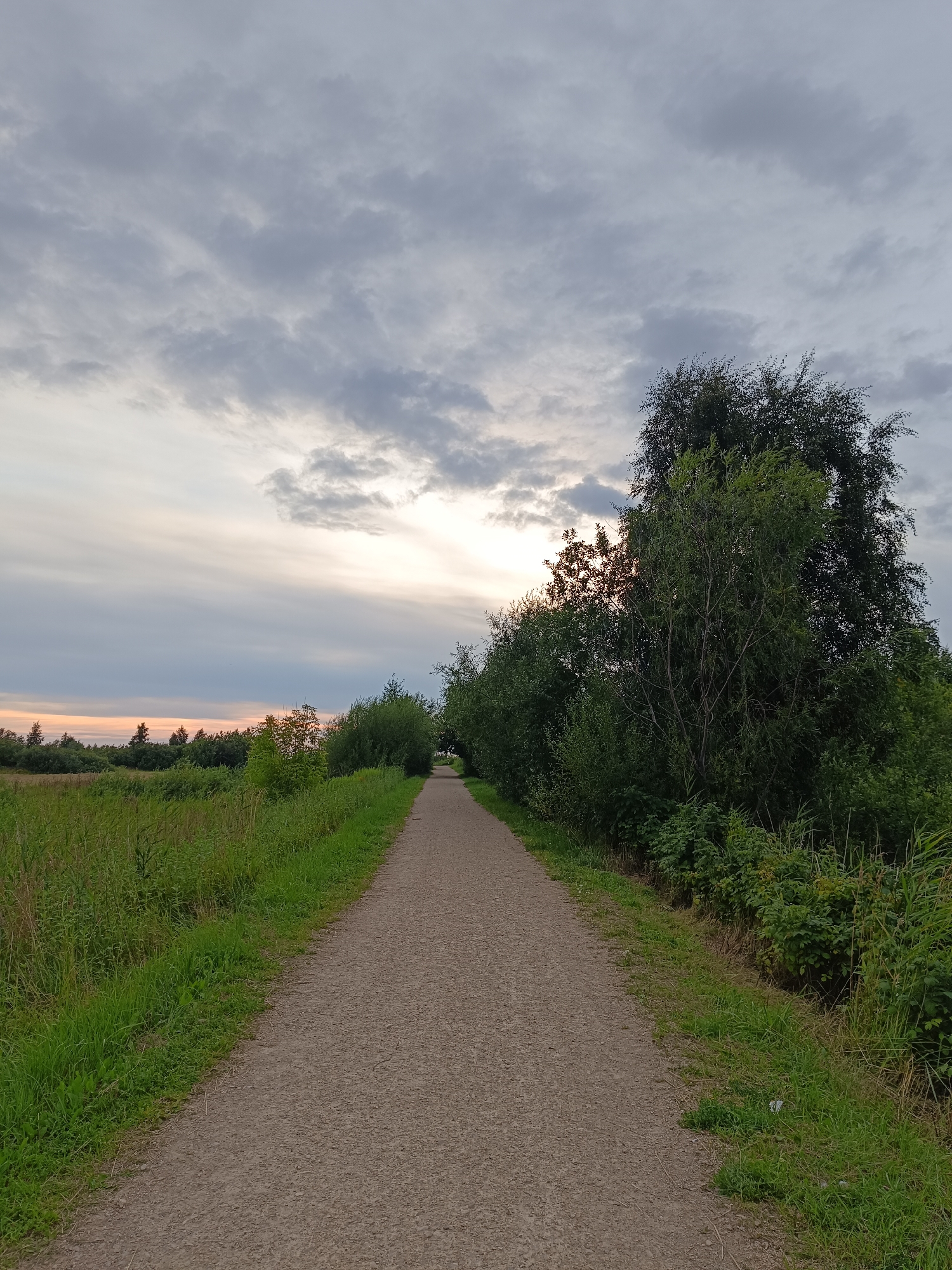 The image depicts a gravel path winding through a natural landscape under a cloudy sky. On the left side of the path, tall green grass and reeds grow abundantly, bordering a field that extends into the distance. On the right side, dense trees and bushes form a thick line, with one particularly large tree dominating the foreground on this side. The sky is filled with dramatic, overcast clouds, with a sliver of pale sunlight breaking through on the horizon, creating a soft, diffused light. The path is empty of people, suggesting a serene and unpopulated environment. The scene is consistent with a park or nature trail, possibly within or on the outskirts of the city of Riga, Latvia, given the commonality of such landscapes in the region.