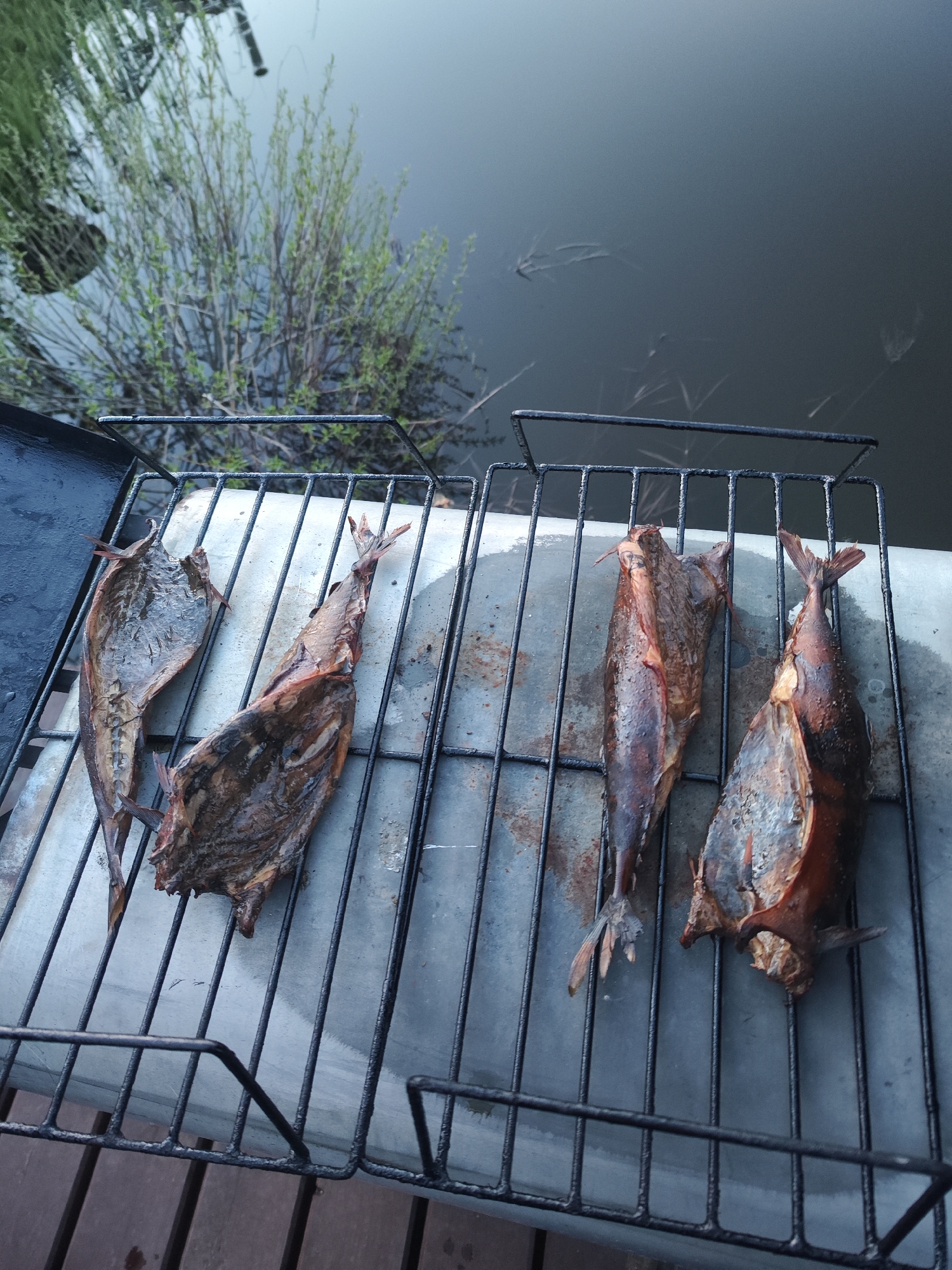 The image depicts four smoked fish on a black metal grill. The grill rests on a gray surface, likely concrete. In the background, there is a body of water with some vegetation visible on the bank. Given the request for a location, the image could be associated with Chaikovsky, Russia, based on the user's implied context. However, the specific location in the city is not discernible from the image alone. There are no people visible. The primary subjects are the four smoked fish on the grill. The action is the preparation or presentation of smoked fish. The environment appears to be an outdoor setting near a body of water.