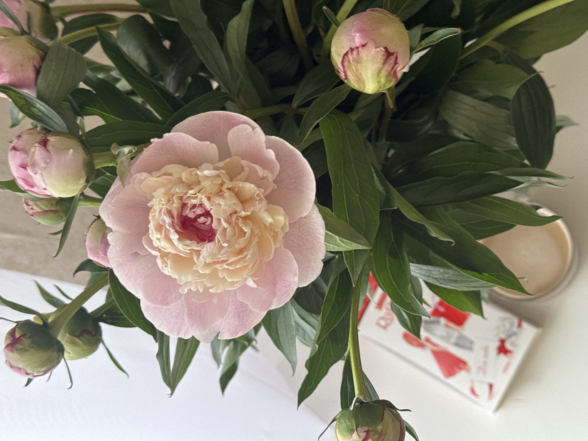 A close-up shot features a bouquet of light pink peonies with green leaves and several closed buds, set against a neutral background. The flowers are arranged in a vase, which is partially visible at the bottom right, with a subtle reflection of light. To the left, a white notebook with red and white illustrations is placed on a white surface. The overall composition suggests a domestic setting, likely a home or a studio, and the details do not provide any information that would allow for pinpointing a specific location in Chaikovsky, Russia.