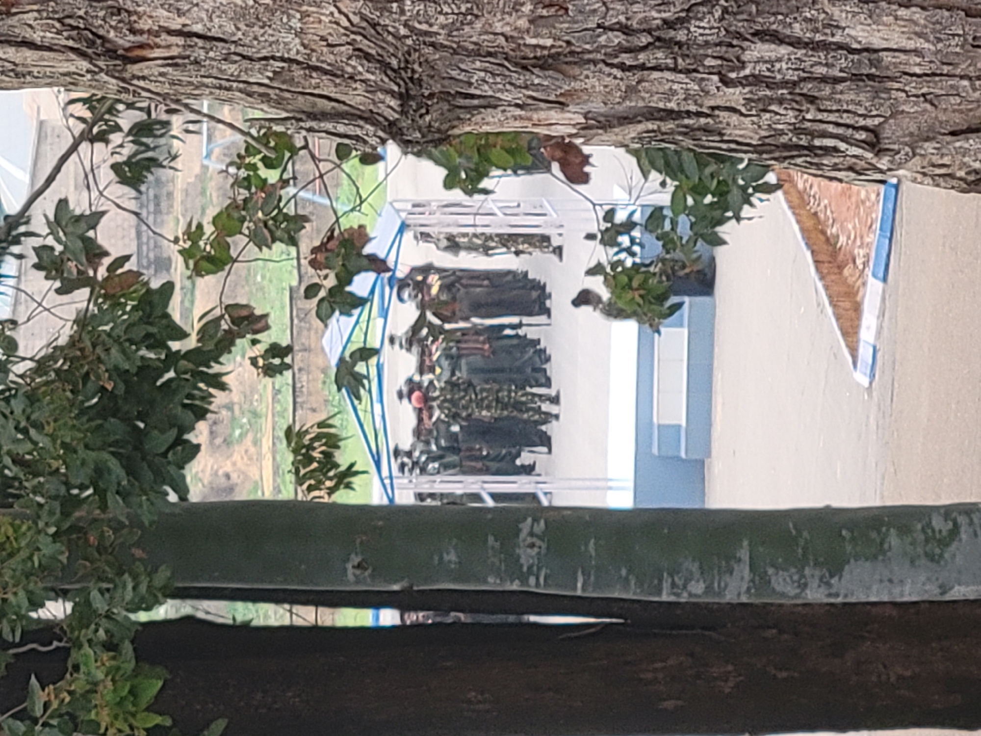 In the city of Gura Top, Nigeria, a group of soldiers are standing in formation, possibly for a ceremony or inspection. They are dressed in camouflage uniforms and some are wearing hats. The soldiers are standing on a paved area, and there is a canopy structure behind them. In the foreground, parts of trees are visible, obscuring the view. The overall atmosphere appears to be formal.