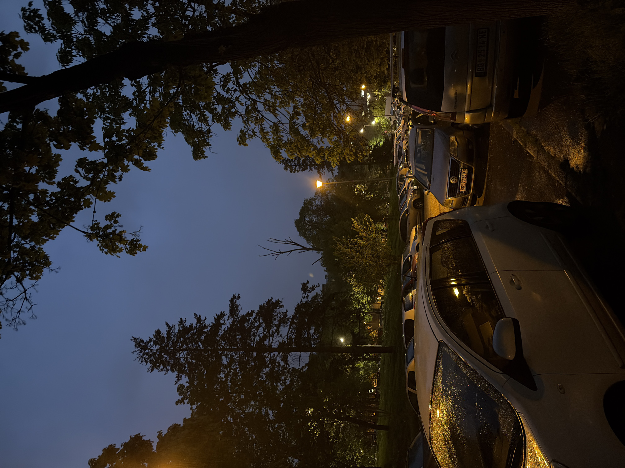 The image captures an outdoor scene at dusk or night, featuring a parking area adjacent to a park or green space. The overall ambiance is dim, illuminated primarily by artificial streetlights.
In the foreground and along the right side, a row of cars is parked. The closest vehicle, a white car, shows numerous rain droplets on its windshield and hood, reflecting warm yellow light. Further down the line, a silver Volkswagen Passat is visible with the license plate "BG 2728 KS," followed by a silver Citroën bearing the license plate "BG 2514-NE." All visible vehicle surfaces appear wet, suggesting recent rainfall.
The left side of the frame and the upper portion are dominated by dark, silhouetted trees and dense foliage, indicating a wooded area or park. Some tree leaves catch the light, showing hints of green. A distinct bare branch protrudes from a tree in the mid-ground.
The sky, visible in the upper left and middle, is a dark, deep blue-grey, characteristic of twilight. Multiple streetlights in the mid-ground and background emit a warm, yellow-orange glow, casting reflections on the wet ground and car surfaces. The ground itself is dark and appears damp or wet.
No specific activity or event is taking place; the scene is static. The time of day is clearly evening or night, and the weather conditions indicate recent rain. The "BG" prefix on the license plates confirms a location in Belgrade, Serbia, aligning with the provided context of Vozdovac Urban Municipality. The mood is calm and quiet.