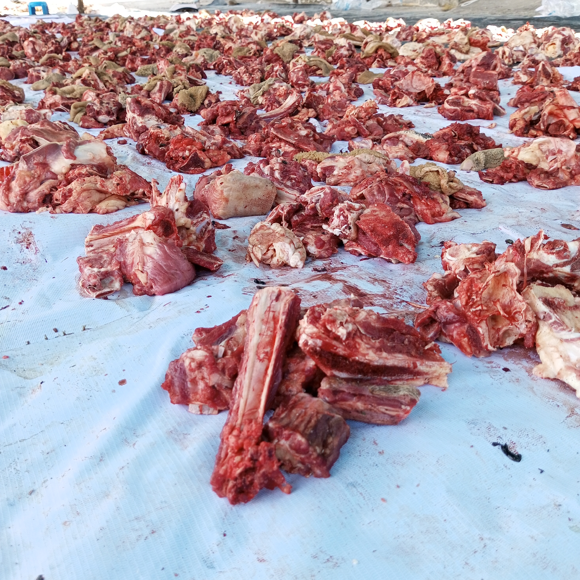 The image depicts a large quantity of raw meat, including bones and what appears to be offal, spread out on a light-colored sheet or tarp. The meat is red and pink, and the sheet has blood stains on it. The photo was taken in Lhokseumawe, Indonesia.