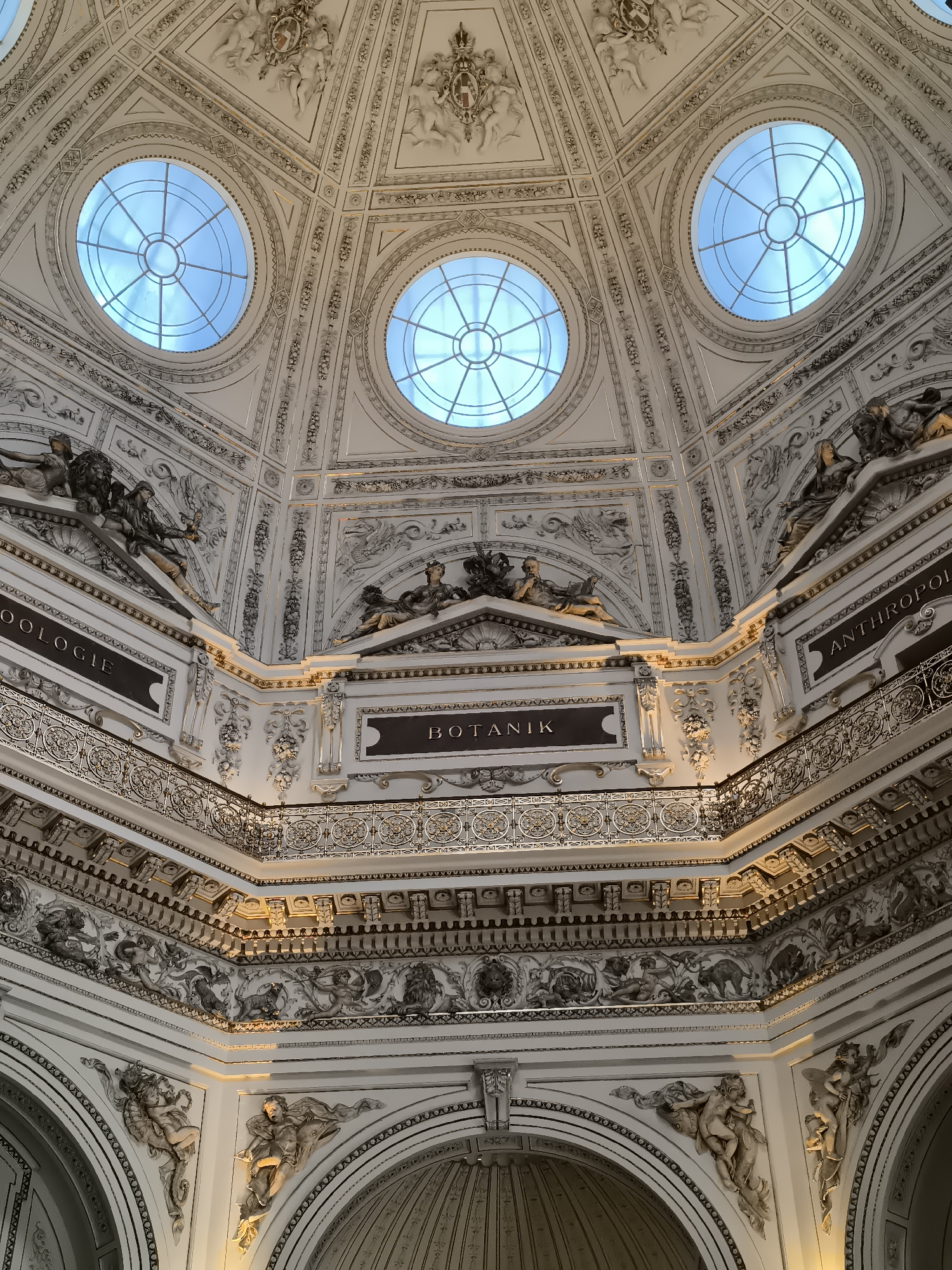 This is an upward-facing view of the elaborately decorated interior dome of the Naturhistorisches Museum (Natural History Museum) in Vienna, Austria. The dome is predominantly white with ornate, gilded plasterwork depicting figures, flora, and fauna. Three circular windows punctuate the dome, revealing a blue sky with visible clouds. Below the windows, the dome is adorned with sculptures of human figures and lions positioned above plaques bearing the words "ZOOLOGIE," "BOTANIK," and "ANTHROPOLOGIE." A decorative, gilded balustrade runs around the interior circumference of the dome, with additional tiers of ornamentation and sculpture below. The bottom of the image shows a lower archway, suggesting that the view is from within the museum looking upwards.