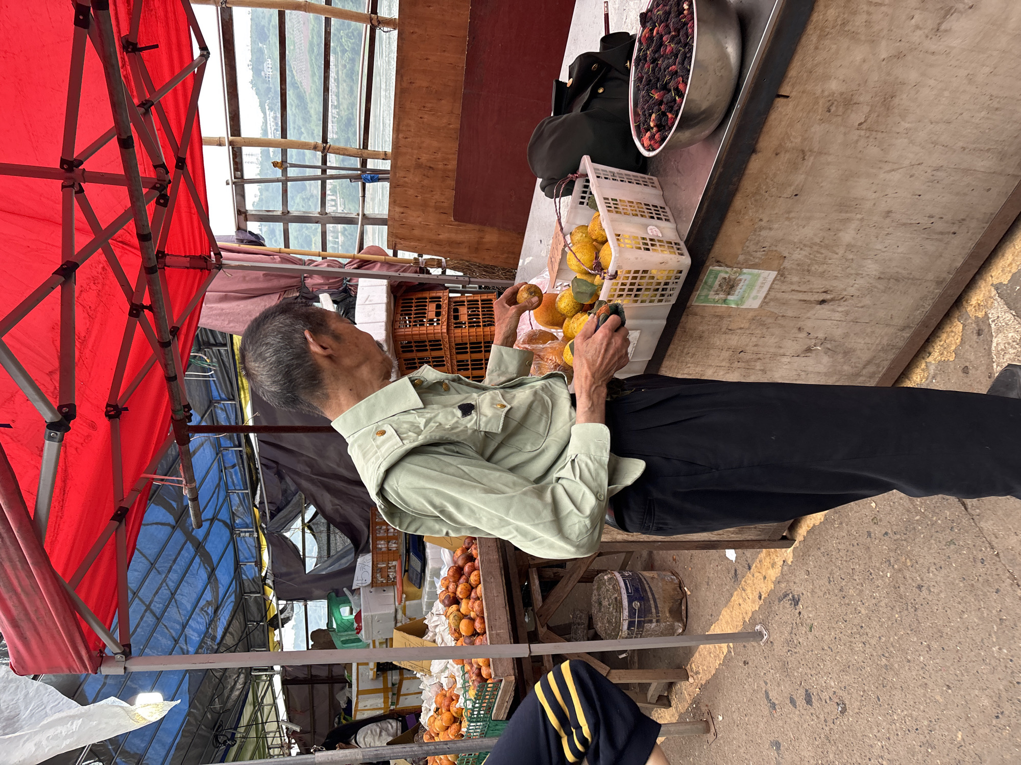 A vendor stands at a fruit stand in Jiangjin, China, examining fruit. The vendor is an elderly man with grey hair wearing a light green collared shirt and black pants. He holds a round orange fruit in his right hand and a similar fruit in his left hand. In front of him on the stall is a white plastic crate filled with more round orange fruits. To the left of the crate is a metal bowl filled with dark red berries. Behind the stall is a wooden panel and other covered areas. To the left of the vendor is a red canopy, partially obscuring the view. Below the stall, more of the same fruit are on display on lower shelves. Parts of other people are visible. The ground is concrete.