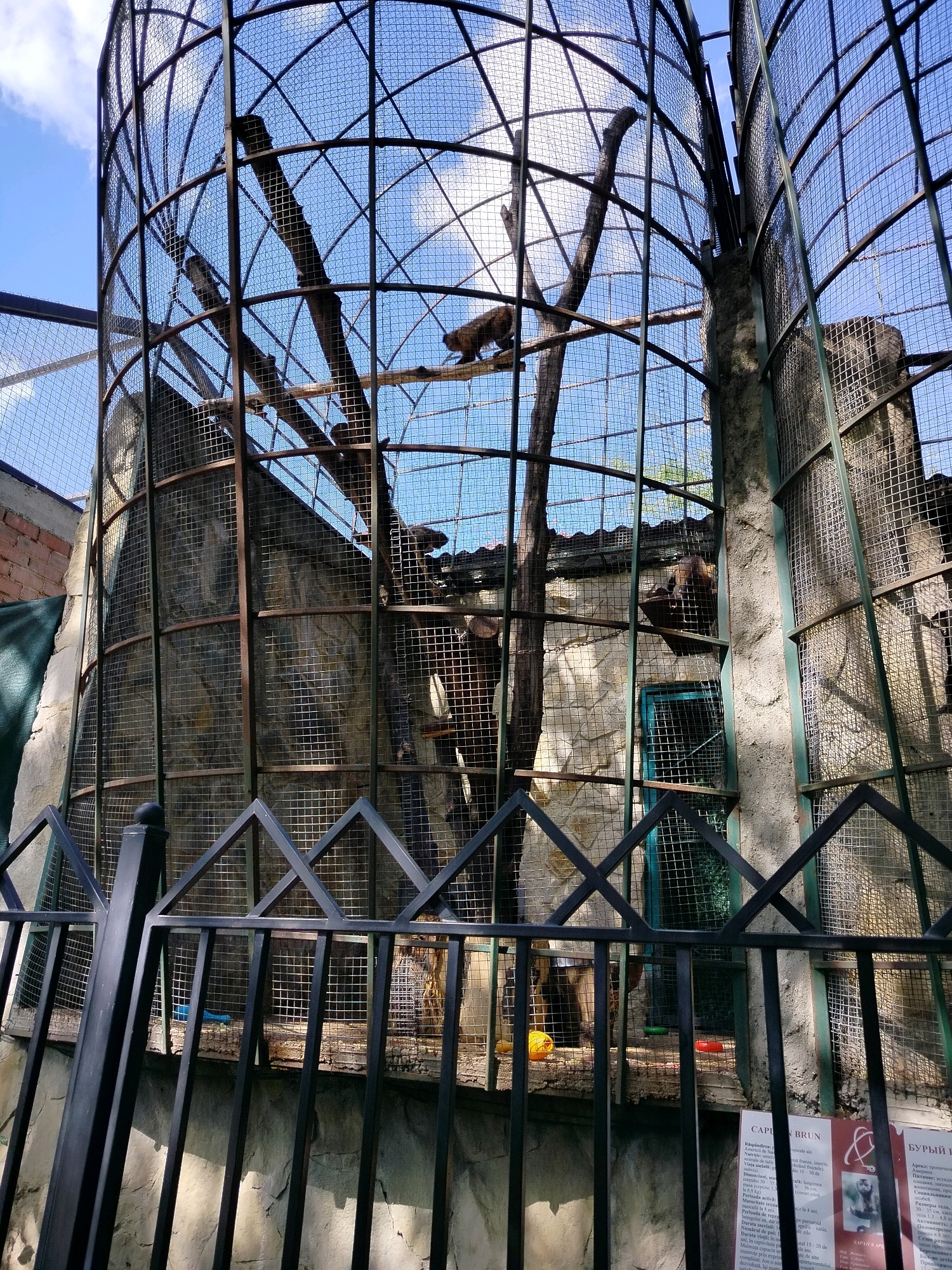 This is a photograph of an animal enclosure in the Chișinău Zoo, located in Chișinău, Moldova. The enclosure is cylindrical and constructed with metal bars and wire mesh. Inside, several brown, furry animals, likely monkeys or similar primates, are visible. Some are perched on branches and structures within the enclosure, while others are obscured by the cage. The background shows stone walls and a blue sky with some clouds. A black metal fence with a decorative geometric pattern is in the foreground, partially obscuring the view of the enclosure. Signs with text in what appears to be Cyrillic are visible behind the fence.