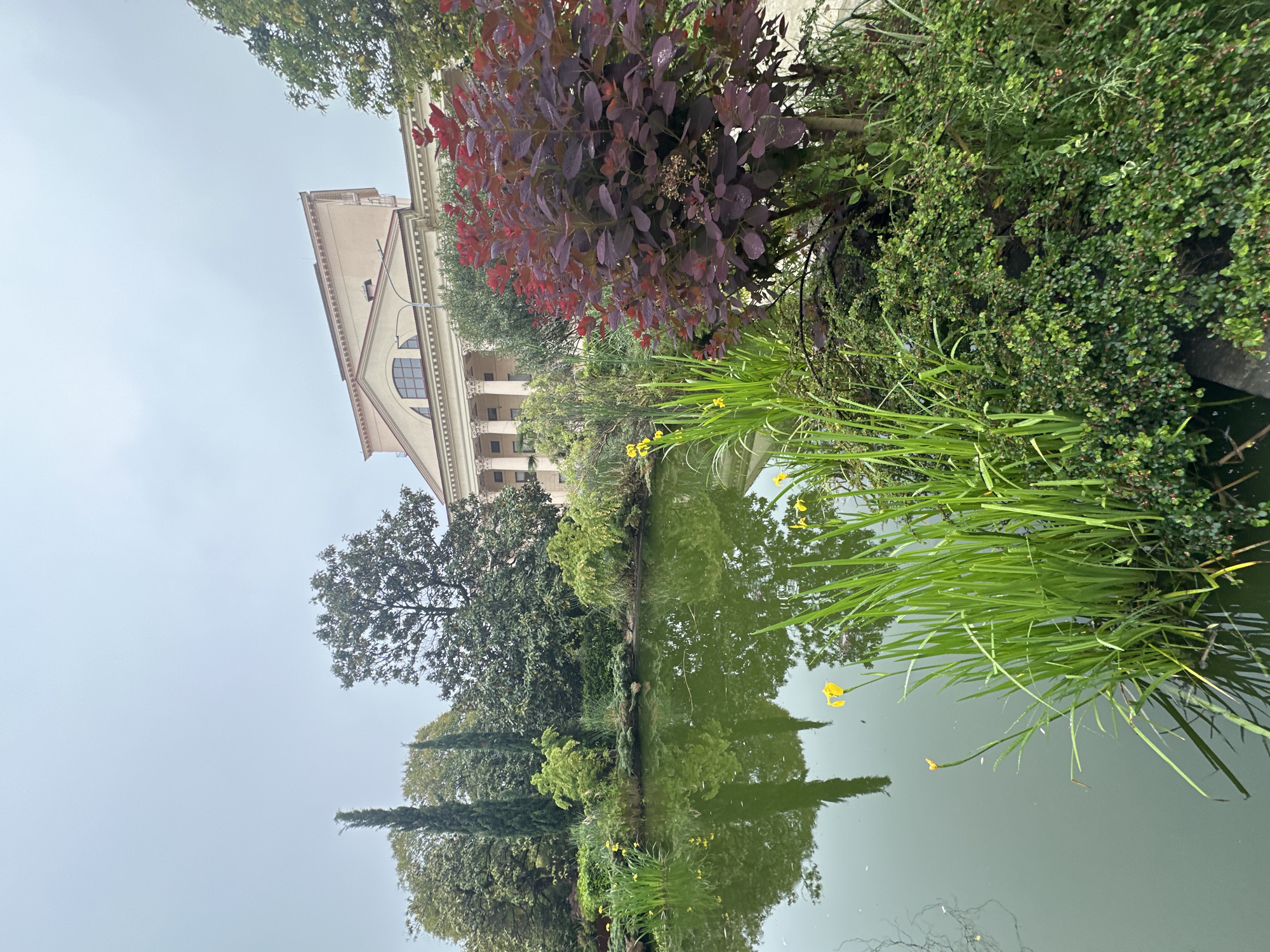 The image captures a tranquil scene featuring a body of water, likely a pond or small lake, with reflections of surrounding vegetation and a building. The building, characterized by classical architectural elements such as columns and a symmetrical facade, sits at the edge of the water. Lush greenery, including various trees, shrubs, and reeds, surrounds the pond, with some plants extending into the water. Yellow flowers are visible among the foliage near the water's edge. The sky is overcast. The image appears to be taken in Sochi, Russia.