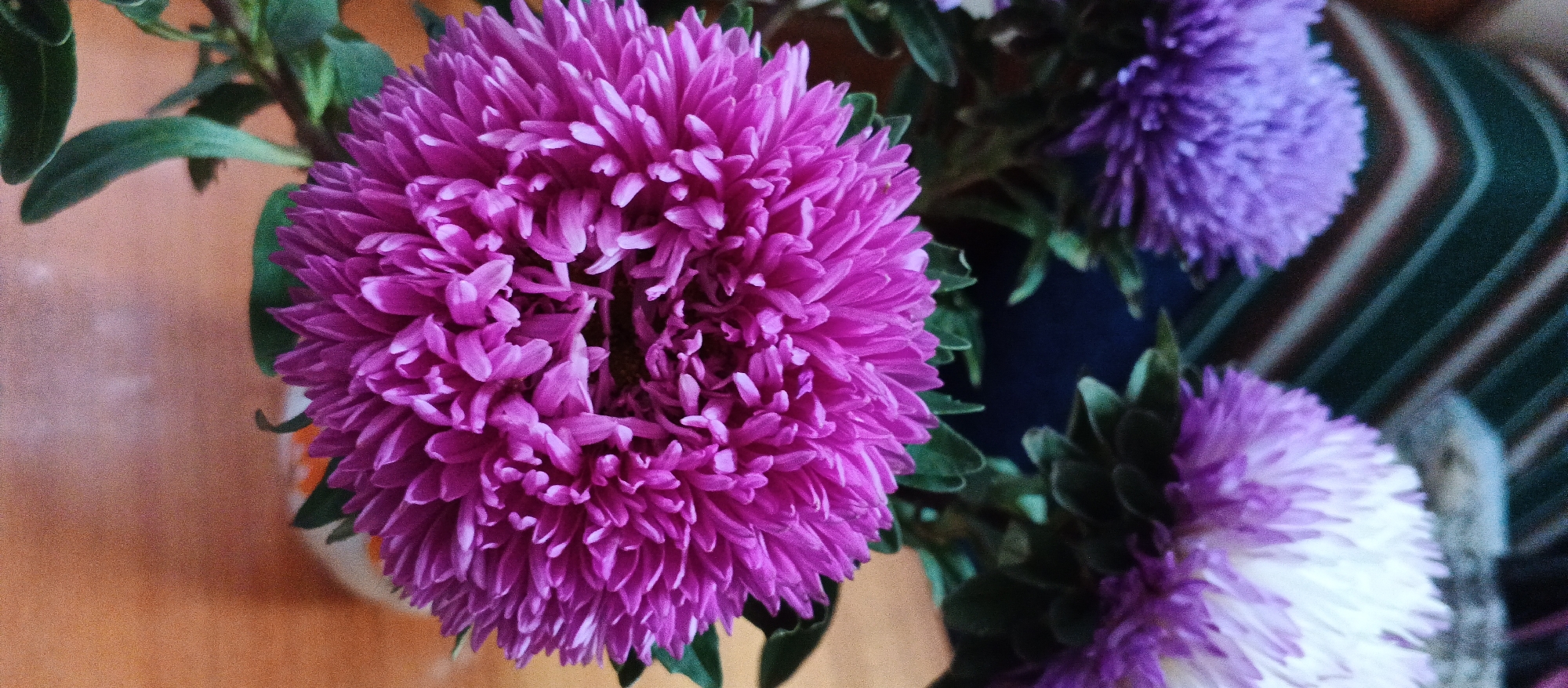 This is a close-up, high-angle photograph of a bouquet of asters. The most prominent flower is a large, vibrant pink aster filling the left and center of the frame. Its petals are densely packed and feathery, radiating outwards from the center. Behind it, to the right, are two other asters, one a lighter purple and another with purple tips fading to white at the base. Green leaves and stems are visible, providing a natural frame for the flowers. The background consists of a blurred surface that appears to be a wooden table on the left, and a striped fabric or upholstery with green, brown, and white stripes on the right. The lighting suggests an indoor setting, possibly a home or a florist shop. There are no people visible in the image. The image does not provide any specific geographic information or context that would allow for its localization in Smila, Ukraine.