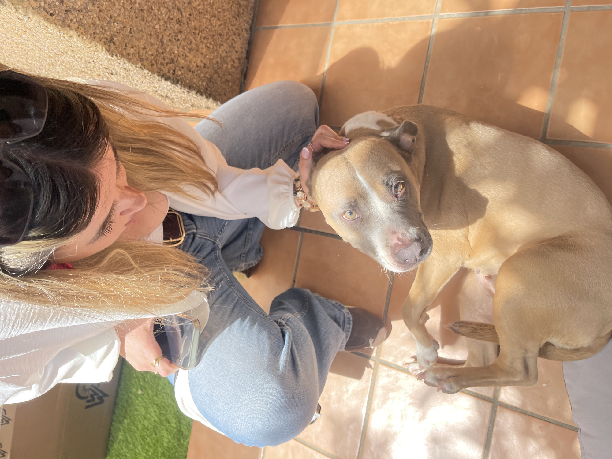 A woman sits cross-legged on terracotta tiles outdoors, petting a medium-sized tan dog with a white chest and muzzle. She wears sunglasses on her head, a white long-sleeved shirt, and blue jeans. She holds a mobile phone in her left hand. The dog looks up at the woman with its ears cocked. The scene takes place outside on a sunny day. The location is Jerez De La Frontera, Spain.