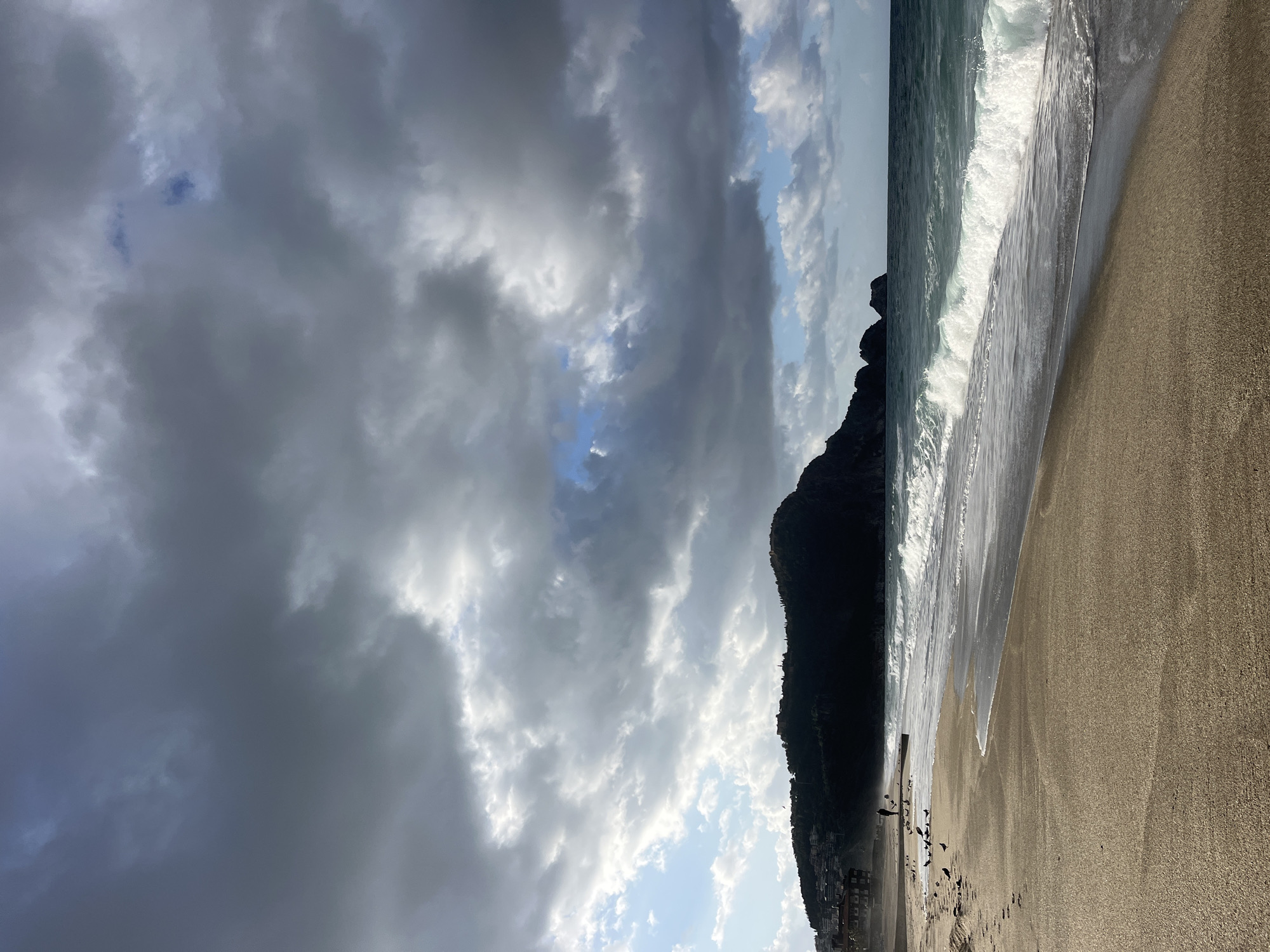 The image shows a beach scene in Alanya, Turkey, dominated by a wide sandy beach on the right and a dramatic cloud-filled sky on the left. A dark, steep mountain or headland rises from the shoreline. White waves crash onto the beach. In the foreground, on the beach, are a number of birds near the water's edge. Buildings are visible at the base of the mountain, suggesting a populated area. The photo appears to have been taken at an angle.