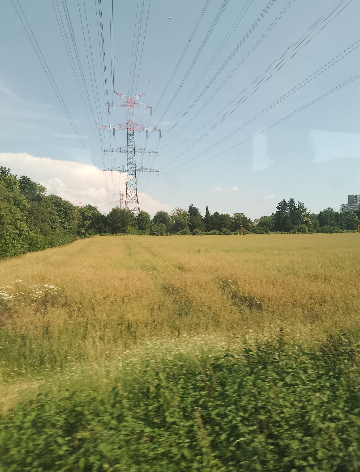 A power line pylon stands prominently in a field of tall, dry grass under a clear blue sky. The pylon is a lattice structure with red and white accents. Multiple electrical wires extend from the pylon, creating a network across the sky. In the background, a dense line of trees borders the field, and a modern building is visible on the horizon. The foreground features a blur of green foliage, suggesting movement. The scene is peaceful and rural, with the imposing presence of the power infrastructure contrasting with the natural landscape.