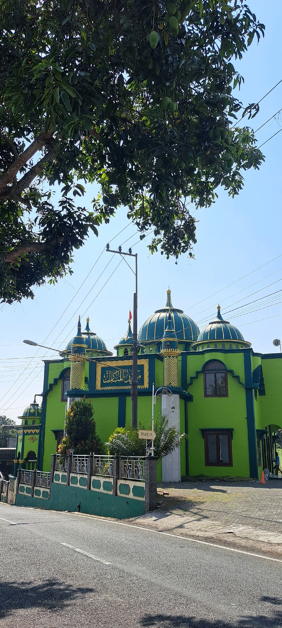 In Watuagung, Indonesia, a vibrant green mosque with blue domes stands by the roadside under a clear blue sky. A large tree with green leaves and unripe fruit partially shades the scene from the upper left. Power lines crisscross the sky, supported by a utility pole in front of the mosque. The mosque features gold accents on its minarets and above its entrance, where Arabic calligraphy is displayed in a golden frame. A fence with decorative metalwork and green panels lines the front of the property, separating it from the asphalt road. A sign that reads "PARKIR" (parking) is visible on a post near the entrance. The architectural style of the mosque is traditional, with multiple domes and pointed spires. The surrounding environment appears to be a rural or suburban area, with some vegetation visible behind the fence and a glimpse of a person in the distance. The overall impression is one of a brightly colored, well-maintained religious building in a tropical setting.