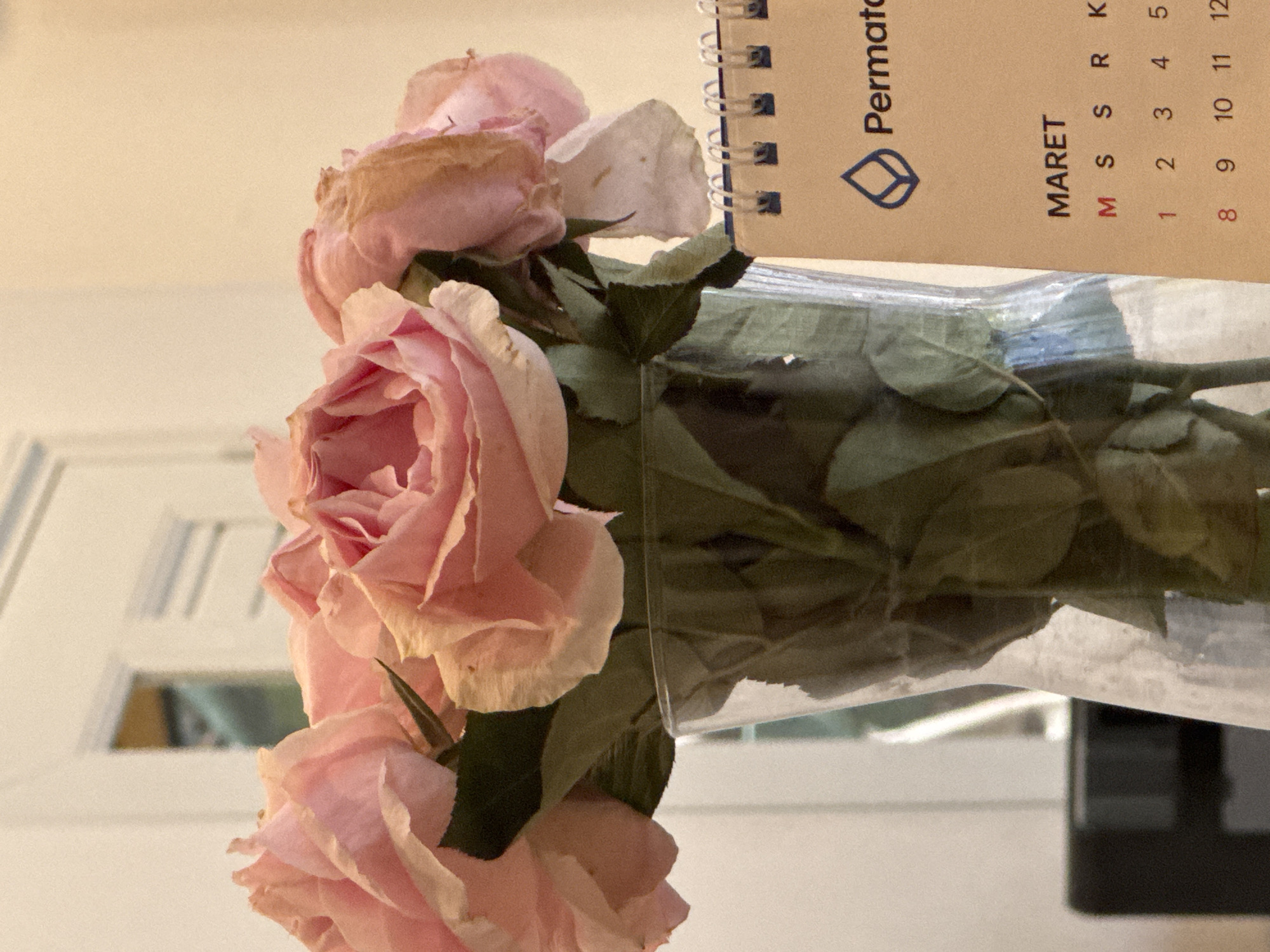 A close-up, eye-level shot captures a bouquet of light pink roses in a clear glass vase. The roses appear slightly wilted, with some petals browning at the edges. Behind the vase, a small calendar is partially visible, displaying the word "MARET" and a grid of numbers representing days of the month. The background is out of focus, showing a light-colored wall and a window or doorway with what appears to be a person reflected in the glass. The lighting is soft and natural. The scene is indoor, likely a home or office space in Kuta Selatan, Indonesia.