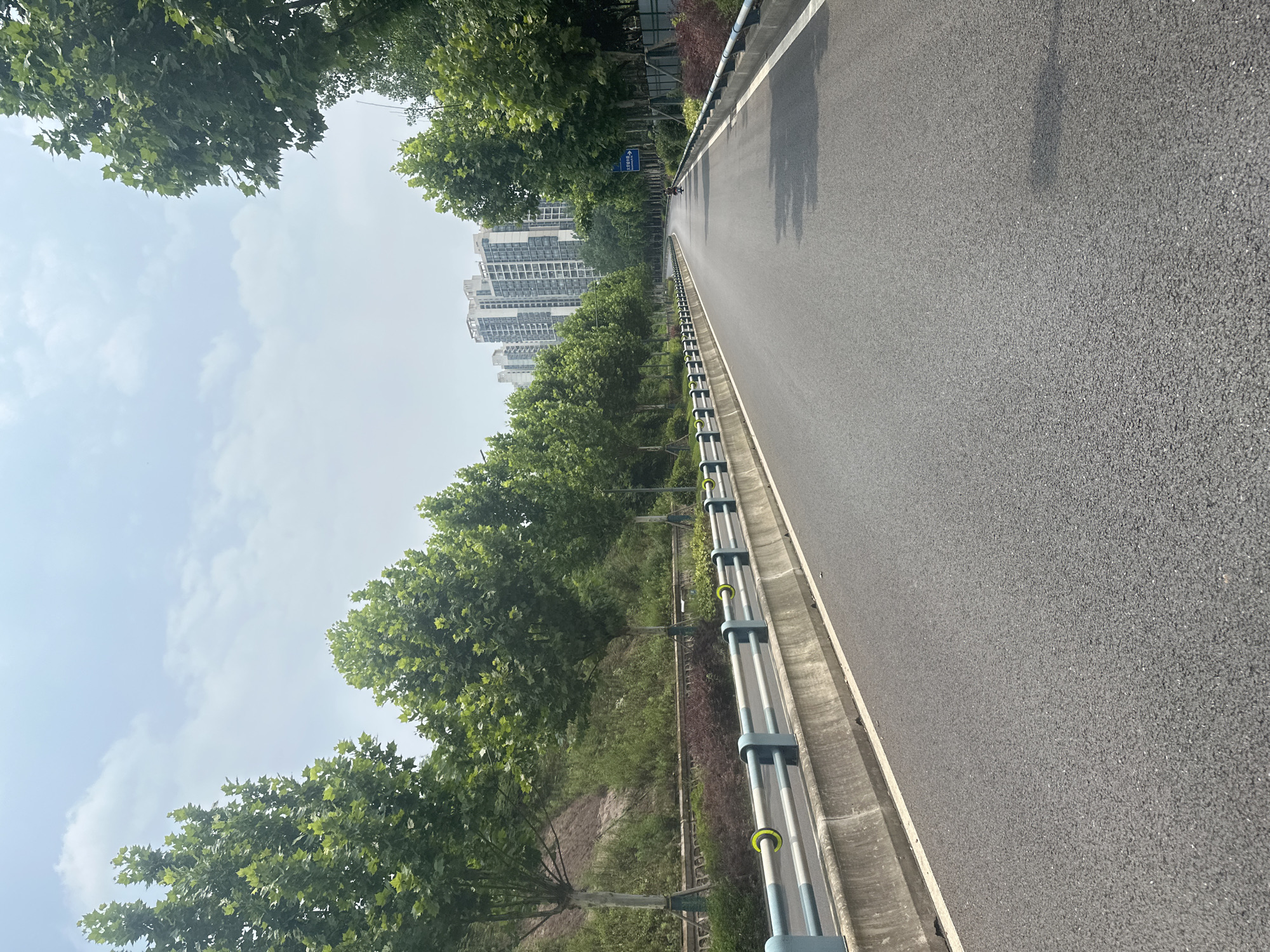 The image depicts an asphalt road in the Chongqing High-tech Zone, China, curving gently to the right under a partly cloudy sky. The road is bordered on both sides by concrete barriers topped with metal railings, predominantly blue and light grey, featuring circular yellow-green reflectors at regular intervals on the left side.
To the left of the road, a row of mature deciduous trees with green foliage stands against a vegetated slope, which shows areas of exposed reddish-brown earth. Shorter shrubs and undergrowth are visible between the trees and the barrier.
On the right side of the road, another line of similar trees is present. Further down the road on the right, a blue directional sign with white Chinese characters and a right-pointing arrow indicates "大学城" (Daxuecheng - University Town) and "西永" (Xiyong). A single individual is visible on a motor scooter or small motorcycle, traveling away from the viewer on the right side of the road. In the background, beyond the trees on the right, a cluster of modern, tall, light-colored buildings forms part of an urban development. The scene is brightly lit, with shadows cast on the asphalt from the trees and barriers.