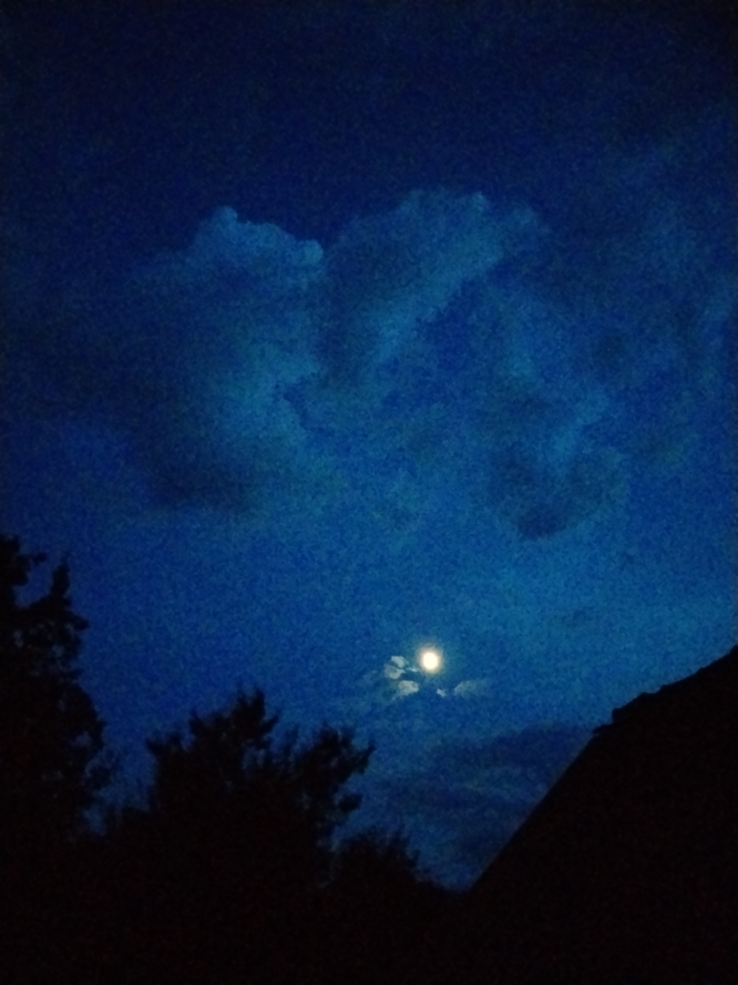 This is a nighttime photograph of a dark blue sky with clouds. A bright, full moon is visible in the center-right of the image, partially obscured by small, wispy clouds. Silhouetted against the sky are the tops of trees and a dark, angled structure, possibly a roof, in the lower right corner. The image appears to be taken from ground level, looking upwards. The location is identified as Ustyvytsia, Ukraine.