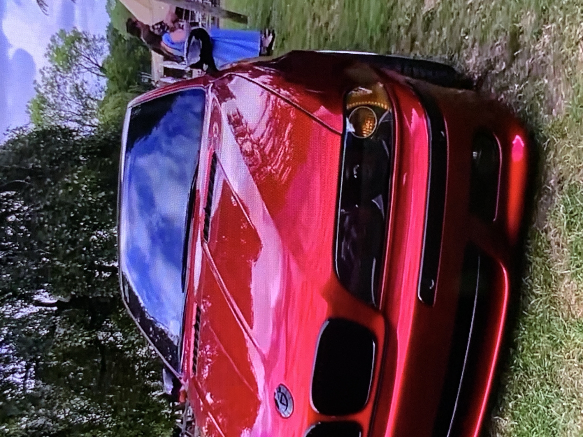A red BMW E46 coupe is parked on a grassy area outdoors, with trees and some people in the background. The car is shiny and reflective, with its headlights and grille clearly visible. The overall scene suggests an outdoor event or gathering.