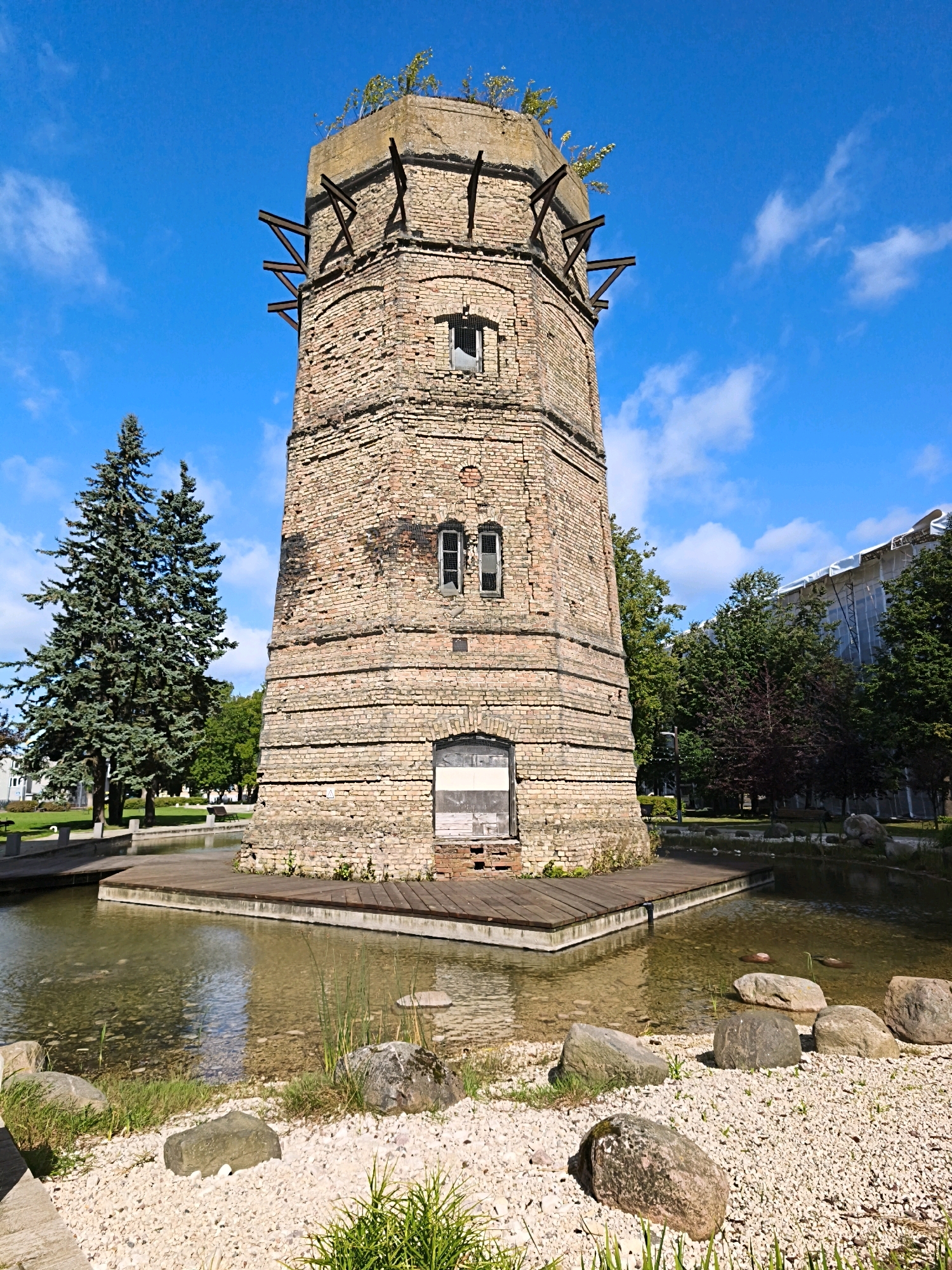 The image depicts the historic Kalamaja Water Tower in Tallinn, Estonia. The tower, constructed of weathered brick, stands prominently in the foreground, surrounded by a decorative pond with wooden platforms and scattered rocks and gravel. The tower has a truncated conical shape with visible metal bracing at the top, suggesting ongoing restoration or preservation efforts. Small, rectangular windows are present on its facade. Adjacent to the tower, to its left, is a tall, dark green conifer tree. In the background, a modern building covered in white scaffolding is visible, along with a variety of deciduous trees and a bright blue sky with scattered white clouds. The scene appears to be a public park or urban green space, possibly illuminated by sunlight on a clear day. No people are visible in the image.