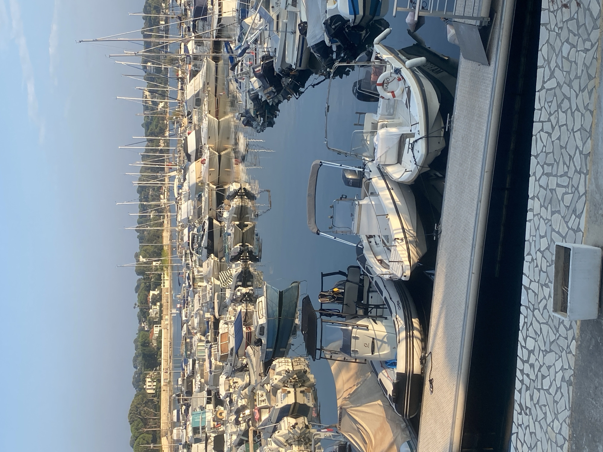 The image shows a marina in Antibes, France, with numerous boats docked. In the foreground, three small motorboats are moored to a dock. The boat on the left is white with black trim, equipped with an outboard motor and a dark canopy. The middle boat is white with a light-colored canopy and outboard motor. The boat on the right is also white, with a life preserver labeled "TIAGO" and an outboard motor. The dock is made of a textured material with a dark border. In the background, many more sailboats and motorboats are visible, with masts reaching into the sky. Across the water, the coastline of Antibes is lined with trees and buildings, indicating a residential or coastal area. The sky is clear and pale blue, suggesting it is morning or late afternoon. The water is calm, reflecting the boats and the sky.