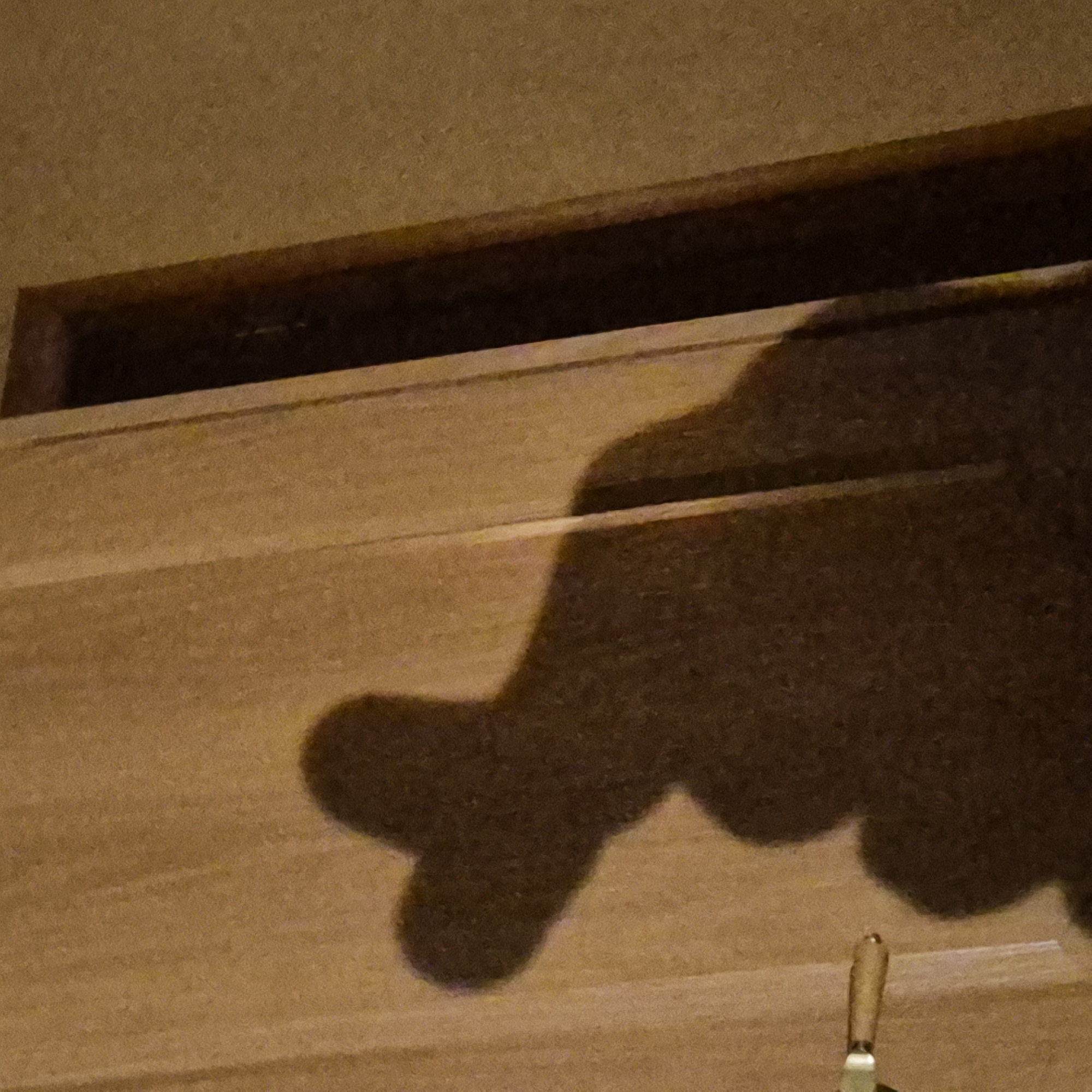 The image shows a close-up of a wooden surface, possibly a cabinet or door, with a shadow cast on it. The shadow appears to be that of a hand with outstretched fingers, creating a somewhat distorted and abstract shape. The wooden surface has visible grain and horizontal lines that suggest it is made of planks or has been finished to mimic such. There is a dark recess or opening visible at the top of the frame, adding a sense of depth. In the bottom right corner, the handle of a tool, possibly a knife or spatula, is partially visible. The lighting suggests an indoor setting, likely with artificial light creating the shadow. The overall mood is ambiguous due to the abstract nature of the shadow and the lack of a clear context. There is no visible text in the image. The context of Kokshetau, Kazakhstan, does not provide specific clues to the objects or scene depicted beyond the general environment.