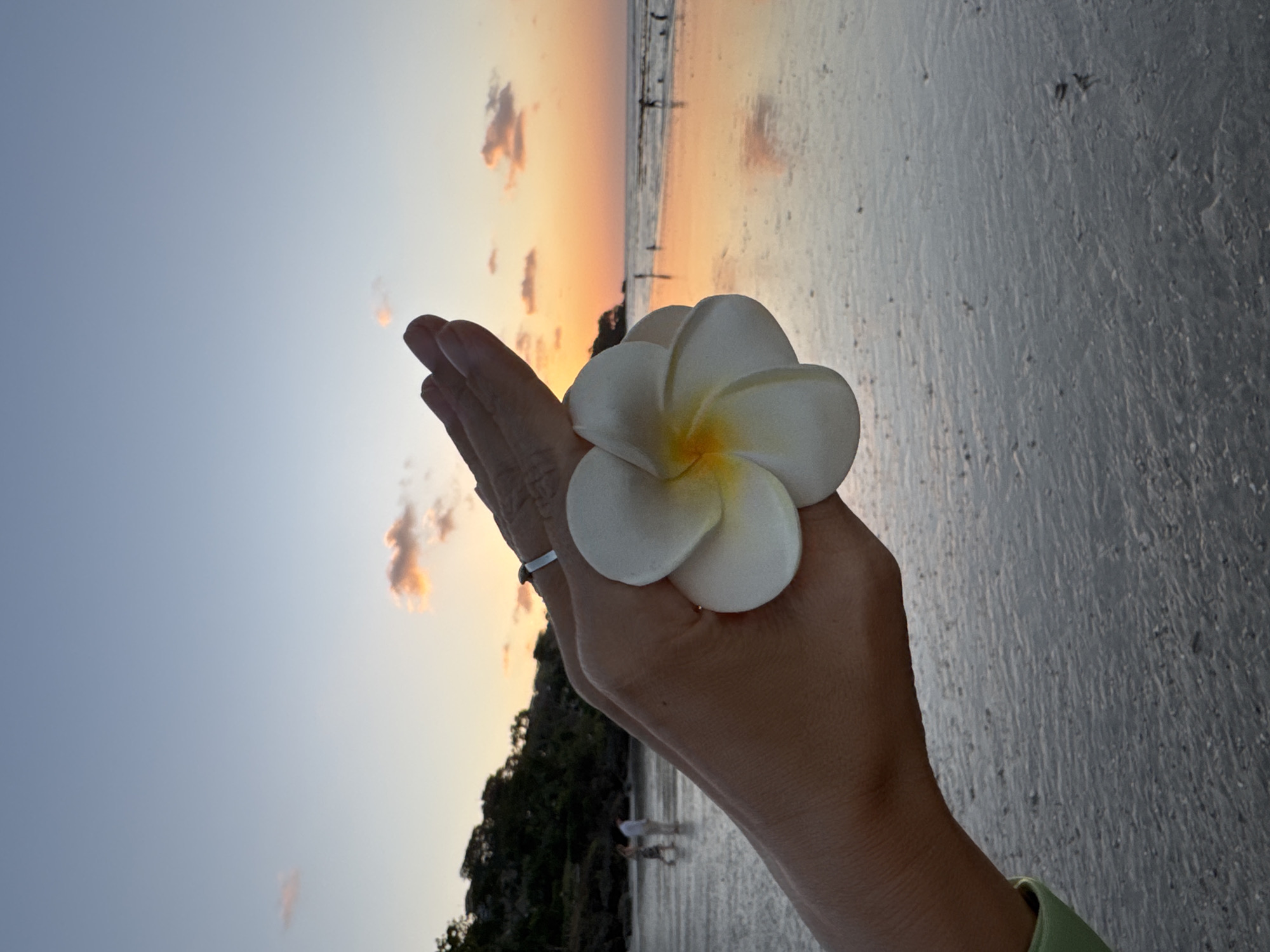 In Kuta Selatan, Indonesia, at sunset, a hand holds a white plumeria flower in the foreground, its petals tinged with yellow at the center. A thin silver ring is visible on the ring finger. The hand is positioned in front of a beach scene. The sky displays a gradient of soft blues and oranges, with scattered clouds catching the fading sunlight. The wet sand of the beach reflects the warm hues of the sunset. In the mid-ground, two figures, possibly a couple, walk into the shallow water, their forms indistinct. Further in the distance, other small figures can be seen on the beach and in the water, their presence suggesting a relaxed atmosphere. Lush green vegetation covers a hillside in the background, adding depth to the coastal landscape.