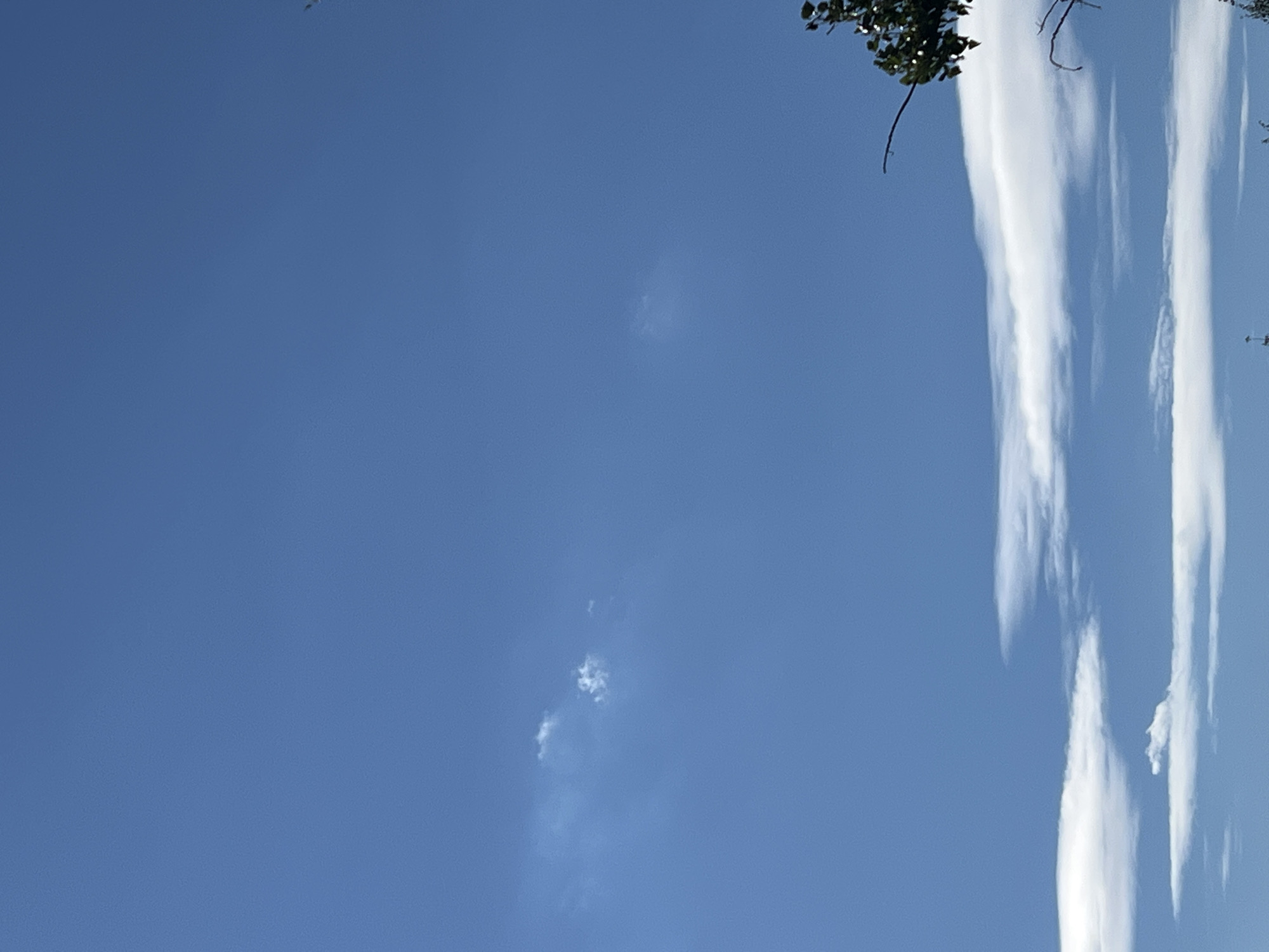 The image shows a clear blue sky with a few wispy clouds. In the bottom right corner, the branches of a tree with green leaves are visible. The scene appears to be an outdoor environment, possibly a park or a backyard. There are no people or specific landmarks that would indicate a location in Warsaw, Poland. The lighting suggests it is daytime, with bright sunlight.