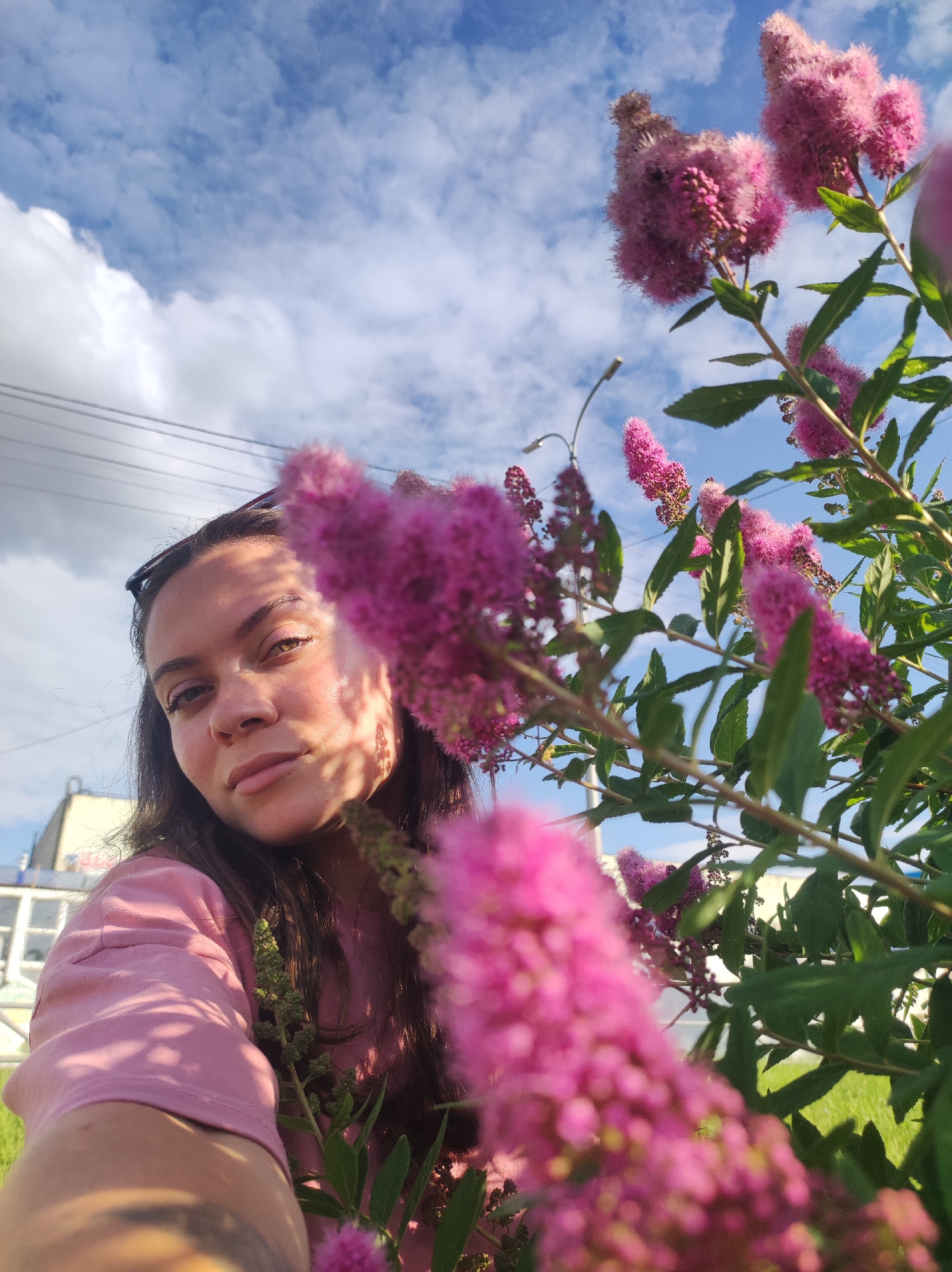 A young woman with dark hair, wearing a pink t-shirt, is taking a selfie outdoors. She is positioned slightly to the left of the frame, with her face turned towards the camera. Her eyes are open, and she is looking directly at the lens. Sunlight casts shadows on her face, highlighting her cheekbones and nose. In the foreground, there are several clusters of fluffy pink flowers, some of which are in sharp focus, obscuring parts of the woman's face and shoulder. In the background, there is a blue sky with scattered white clouds, power lines, a street lamp, and a light-colored building. The overall setting appears to be an urban or suburban environment, possibly in the city of Chaikovsky, Russia, given the context. The ground is covered in green grass.