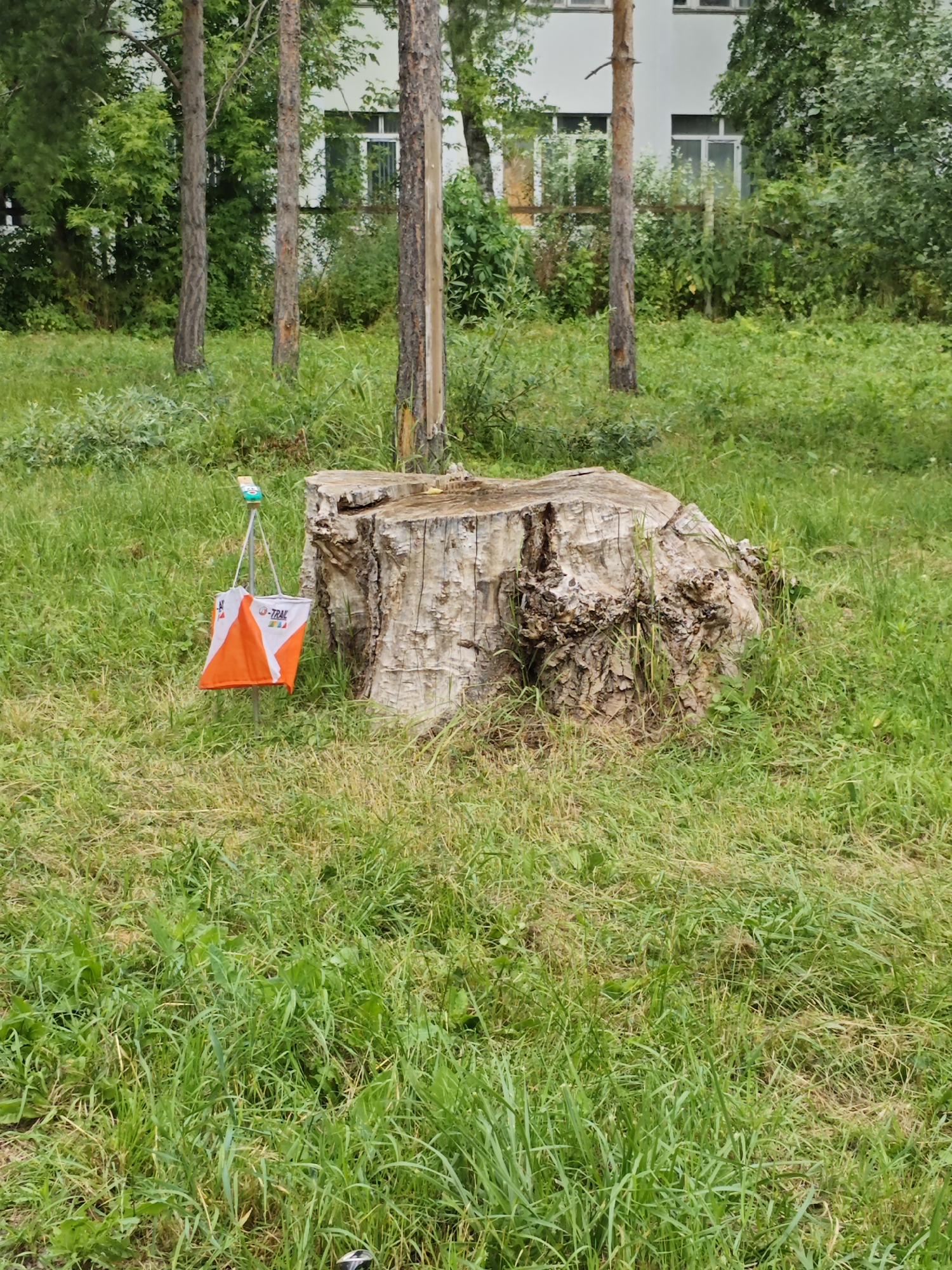 A tall, thick tree stump is in the center of the frame, with a brightly colored orange and white orienteering flag on a stand to its left. The stump is weathered and shows signs of decay. The flag, which is triangular, is hanging from a thin metal pole. The background consists of lush green grass and trees, with a building visible behind the trees. The scene appears to be in an outdoor, park-like setting. There are no people or animals visible in the image. The lighting is overcast, suggesting it may be a cloudy day. This image does not contain any information that would suggest it is located in Cherkessk, Russia.