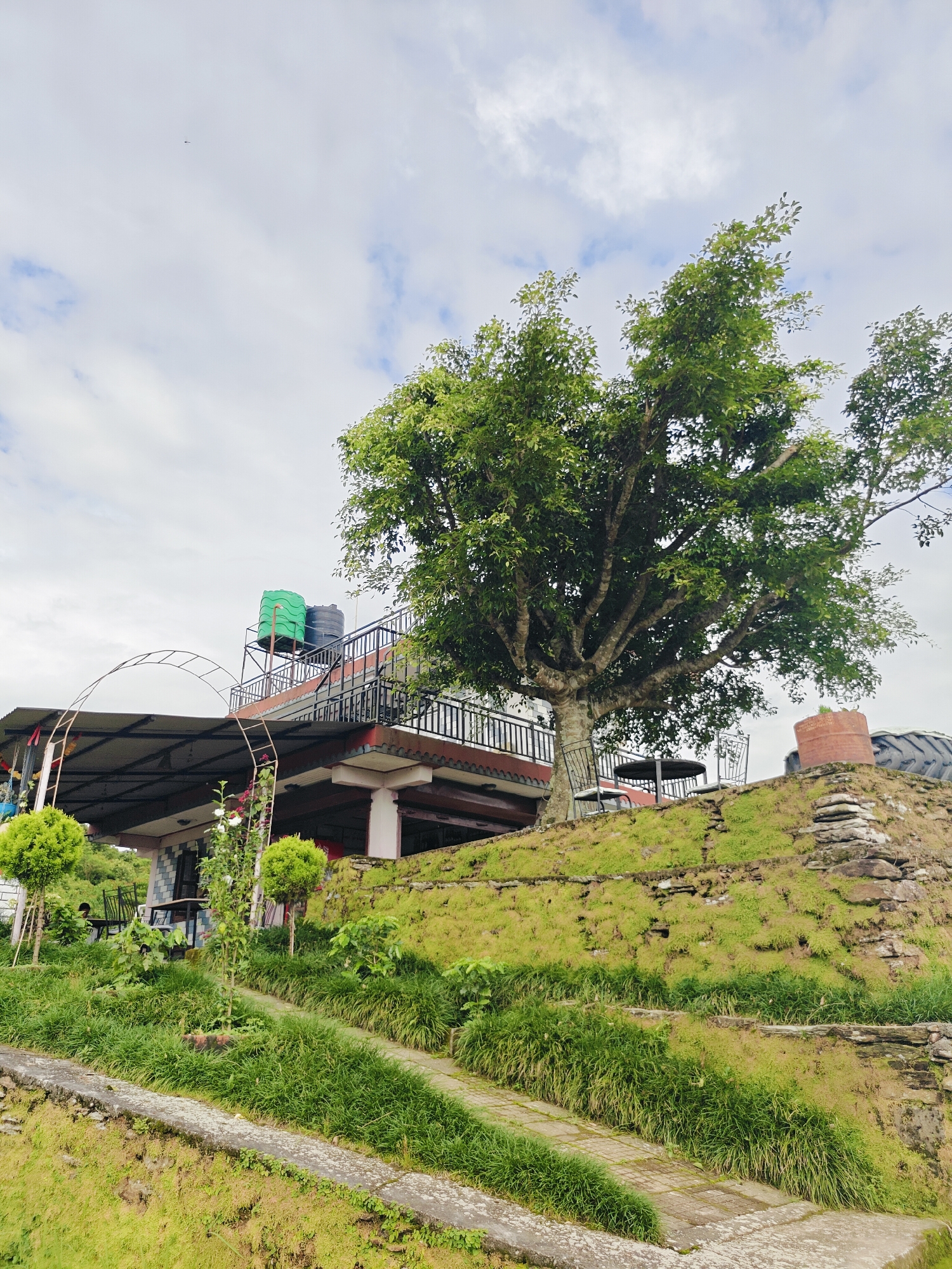 This is an eye-level, medium shot of a multi-level establishment in Pokhara, Nepal, under a cloudy sky with a few wispy clouds. A large tree with lush green leaves dominates the right side of the frame, its branches extending upwards and to the left. The establishment features a covered outdoor dining area on the lower level, with seating visible. An upper level, accessed by stairs, has a balcony with black metal railings and several black and green water tanks on the roof. The building is situated on a terraced hillside covered in vibrant green grass and mossy stones. A paved pathway winds up the hillside, bordered by more greenery. In the distance, parts of a large tractor tire and a cylindrical object are visible on the hilltop. The overall scene depicts a picturesque setting with a blend of natural elements and built structures.