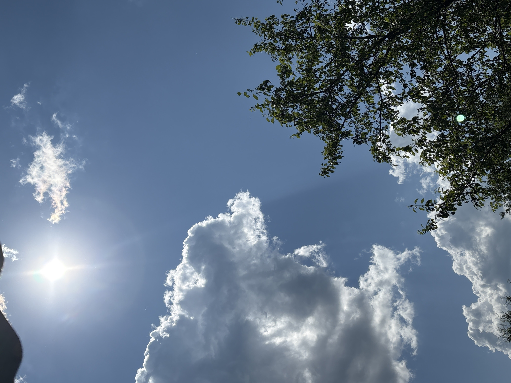 This is a low-angle shot looking up at a bright blue sky with scattered white clouds. In the upper right corner, a portion of a tree with green leaves is visible, casting shadows. The sun is a bright, star-like object in the lower left quadrant, creating a lens flare and illuminating the clouds. The overall scene suggests a clear, sunny day. There is no visible text. The location context is Dubrovino, Russia.