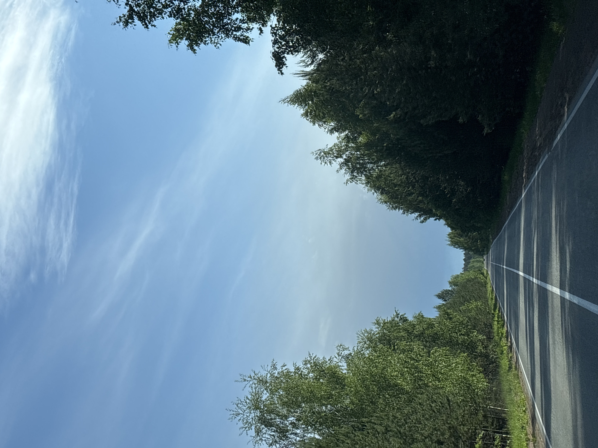 The image shows a road scene in what is likely the city of Chaikovsky, Russia, given the request parameters. An asphalt road with white lane markings runs into the distance, bounded on one side by a dense tree line. The other side of the frame offers a view of the sky, which is a pale blue, with streaks of thin, wispy clouds. Trees partially frame the top of the image. No people, vehicles, or specific objects are discernible. The environment appears to be a rural or suburban area.