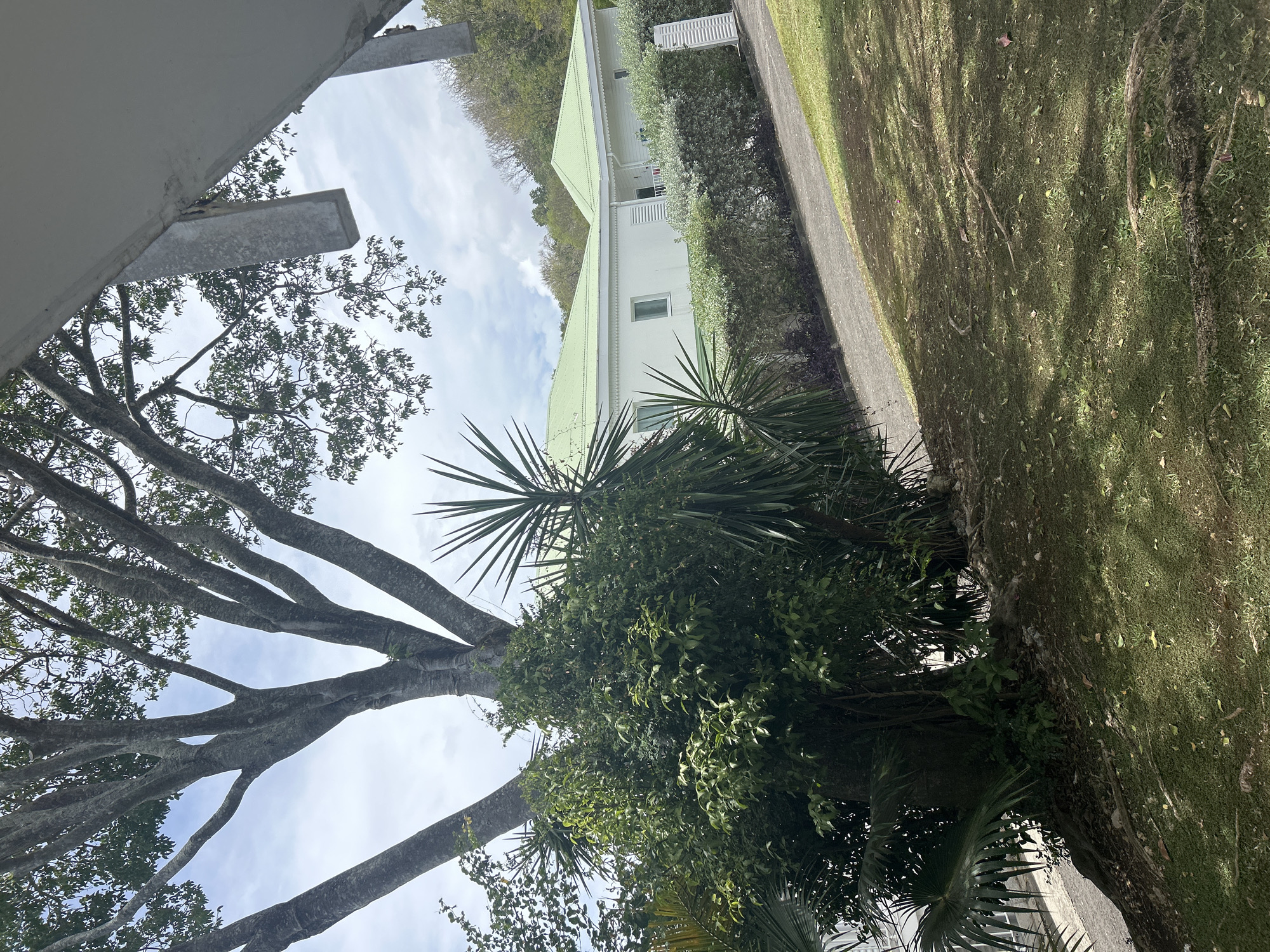 The image shows a partially obscured view of a light-colored building with a green roof, likely a residential structure, in Sainte-Anne, France. A pathway runs alongside the building, bordered by greenery and vegetation. A large tree dominates the foreground, its branches extending across the sky, with other smaller trees and foliage visible. Part of a concrete structure, possibly a building overhang, is visible in the upper left corner. The sky is partially cloudy. The picture appears to be taken at ground level. No people or animals are visible.