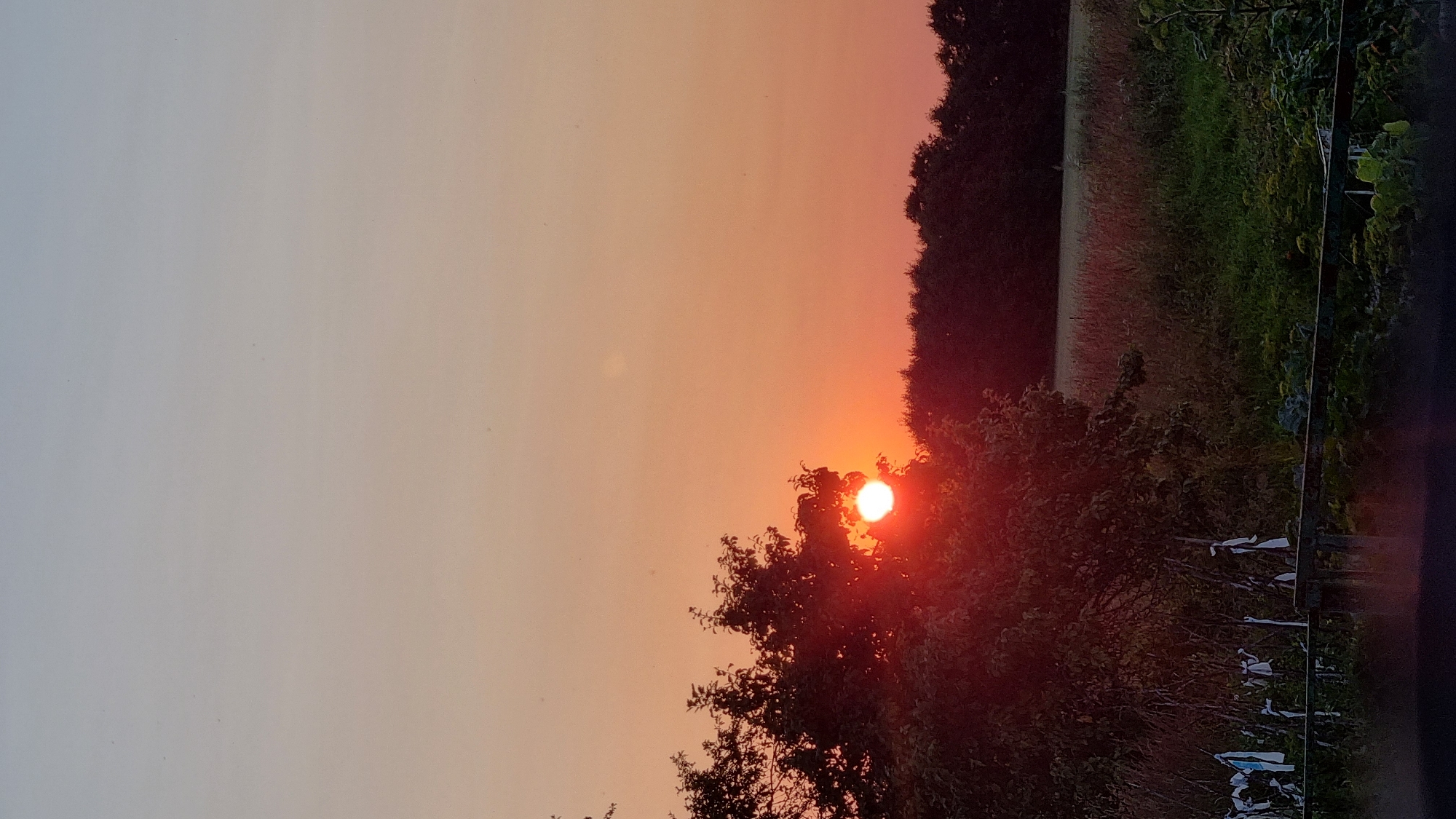 The image captures a sunset in Vysokoe, Russia. The sun, a bright orb of white light, is partially obscured by the dark foliage of a large tree in the foreground, casting a warm orange glow across the sky. The sky transitions from a pale blue at the top to a vibrant orange near the horizon. Behind the tree and the sunset, a dense line of dark trees forms a silhouette against the sky. In the middle ground, a field with tall, dry grass is visible, and a fence made of horizontal wooden planks runs across the bottom of the frame. A few white objects, possibly laundry or flags, are hanging on a structure behind the fence. The overall scene depicts a tranquil rural landscape at dusk.