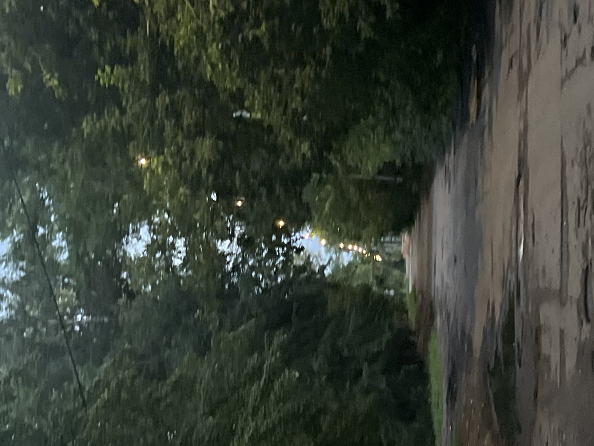 The image depicts a tree-lined, unpaved road in what appears to be a park or wooded area. The road surface is uneven and shows signs of water accumulation in potholes and depressions. Along the sides of the road, dense green foliage from trees creates a tunnel-like effect. Small, scattered lights are visible intermittently within the tree canopy, suggesting the presence of string lights or decorative lighting, possibly for an event or pathway illumination. The overall impression is one of a natural setting with man-made lighting elements, likely in a location with a temperate climate. No people or specific landmarks are identifiable to confirm the location within Ulyanovsk, Russia.