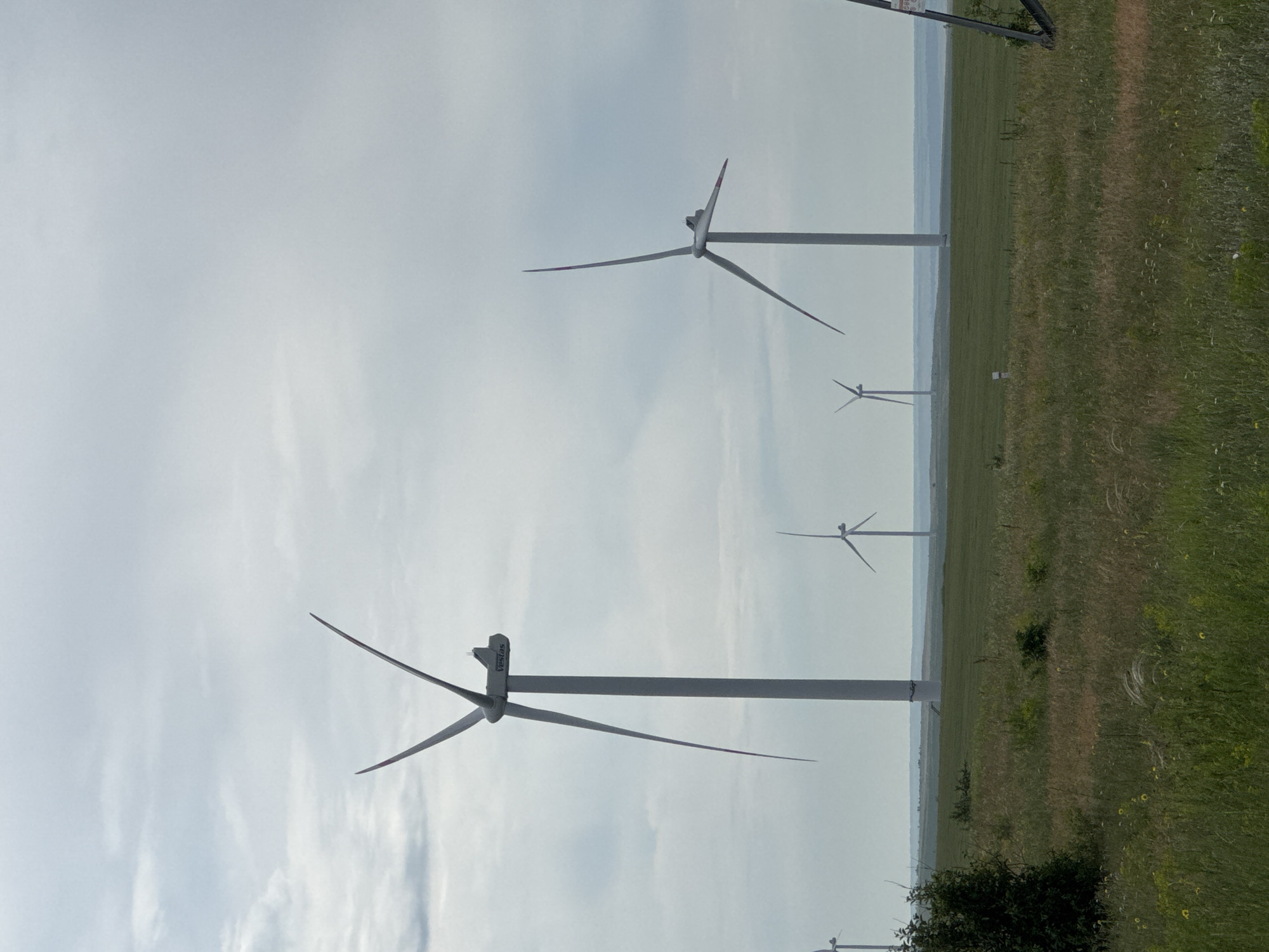 An outdoor, eye-level, long shot captures a wind farm on a cloudy day. In the foreground, tall green grass and some brown grass are visible. In the middle ground, several large wind turbines stand tall. The wind turbines are white, with three blades each. The largest wind turbine is in the center left, and another large wind turbine is in the right middle ground. Several smaller wind turbines are visible in the distance. In the background, a hazy, light blue sky with white clouds stretches across the scene. The ground appears to be flat, with rolling hills in the far distance. The scene is located in the city of Verkhnegoveinyi, Russia.