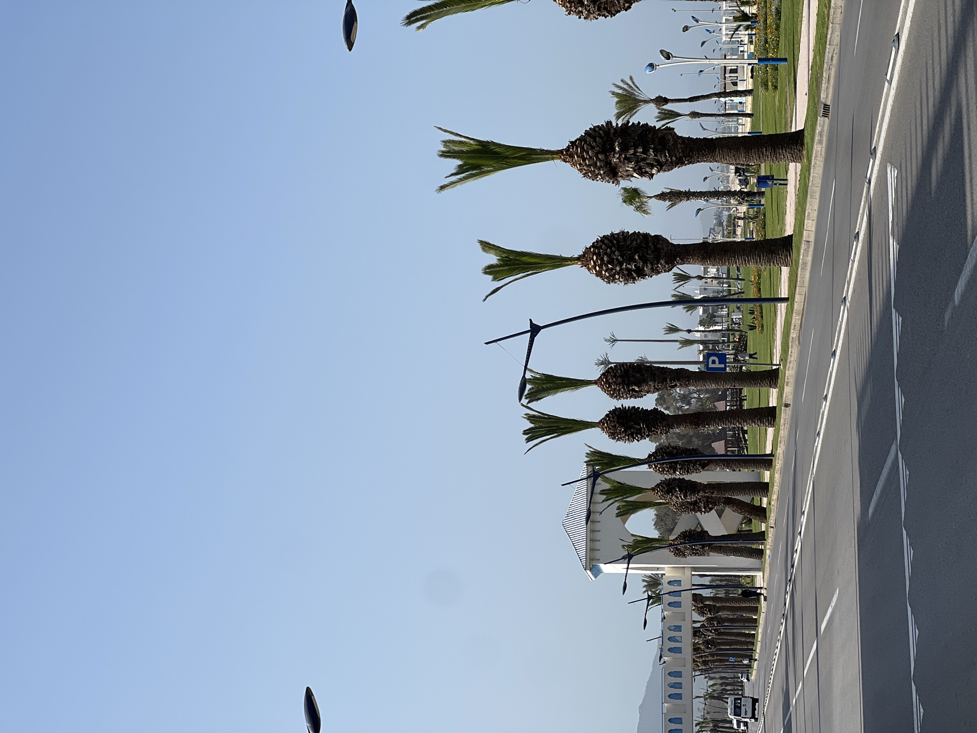 This image captures a vibrant, sunny street scene in M'Diq, Morocco, characterized by a long, straight road running parallel to a meticulously maintained green median. Numerous palm trees, featuring thick, textured trunks and lush green fronds, are lined up in an orderly fashion along this median.
The paved road includes two lanes with clear white markings, including solid and dashed lines, and visible shadows suggesting strong sunlight. Modern streetlights with blue poles and multi-headed white lamp fixtures are interspersed along the grassy strip, alongside more slender, darker streetlights with curved arms. A blue square sign with a white capital "P" indicating parking is visible on the left side of the median.
In the background, a row of white buildings with blue accents on their roofs or facades creates a clean, coastal aesthetic. One building has a distinctive arched architectural feature. Faint mountains are visible in the distant left, under a clear, bright blue sky. The scene appears peaceful, with no people or specific activities taking place. The overall impression is one of a well-maintained and orderly urban landscape on a clear, bright day.