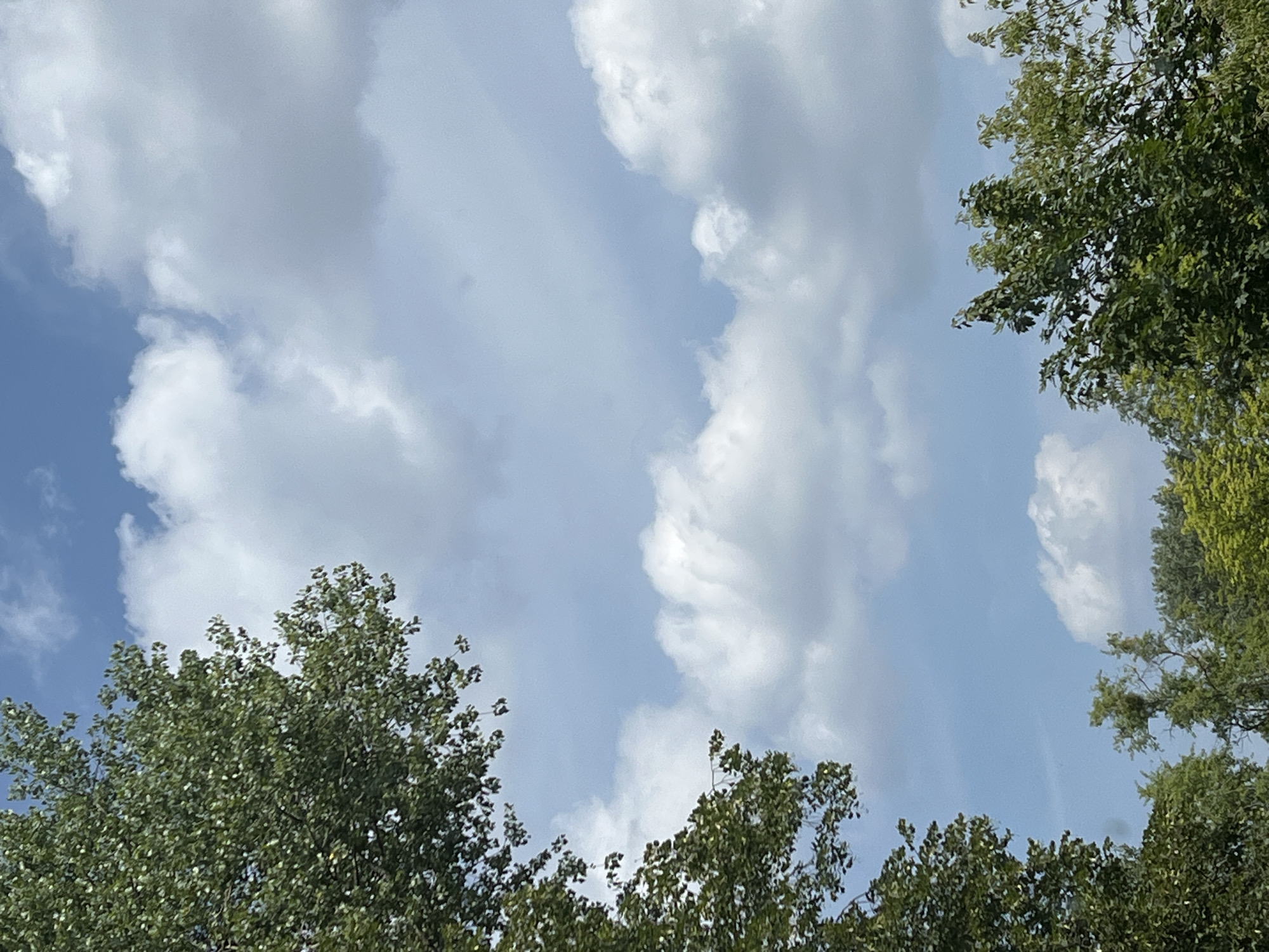 The image shows a view of the sky through trees. The sky is blue with fluffy white clouds. On the left and bottom of the image, the tops of green trees are visible. The scene appears to be outdoors in a natural setting, possibly a park or a residential area. The image does not contain any people or specific landmarks that would identify its location in Warsaw, Poland.