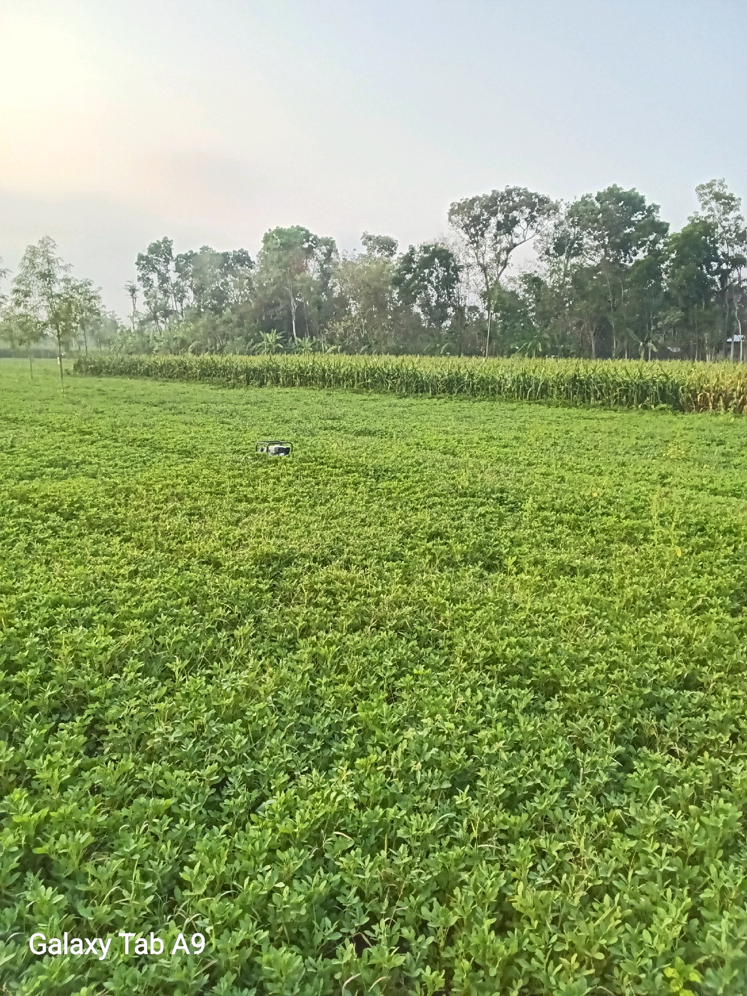 This is a photograph of a green field, likely farmland, in Bendorejo, Indonesia. In the middle of the field, there is a dark-colored object, possibly a generator or other piece of machinery. The field is surrounded by trees and vegetation. The sky is overcast. The text "Galaxy Tab A9" is visible in the bottom left corner of the image.