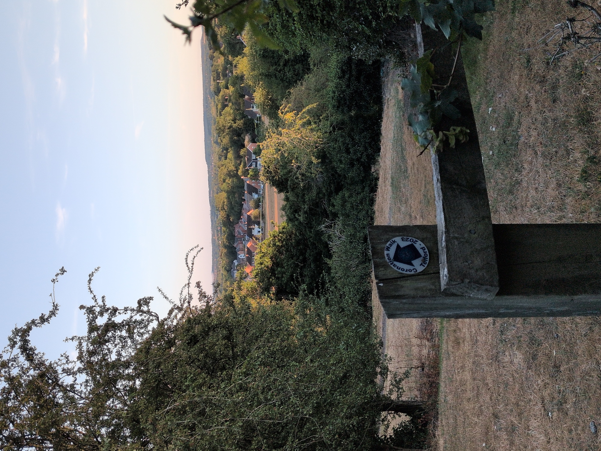 A landscape view captures a semi-rural setting with a wooden post in the foreground, featuring a circular sign with text that reads "Coronation Walk" and "Telford - 2023" along with an arrow pointing left. The post is situated in a dry, grassy field. Beyond the post, a dense line of trees and bushes creates a natural barrier, with a cluster of houses with red-tiled roofs visible in the distance, suggesting a residential area bordering the natural landscape. The sky above is clear with a pale blue hue, indicating it is likely late afternoon or early evening. The overall scene depicts a pathway or trail in the outskirts of Dawley, United Kingdom.