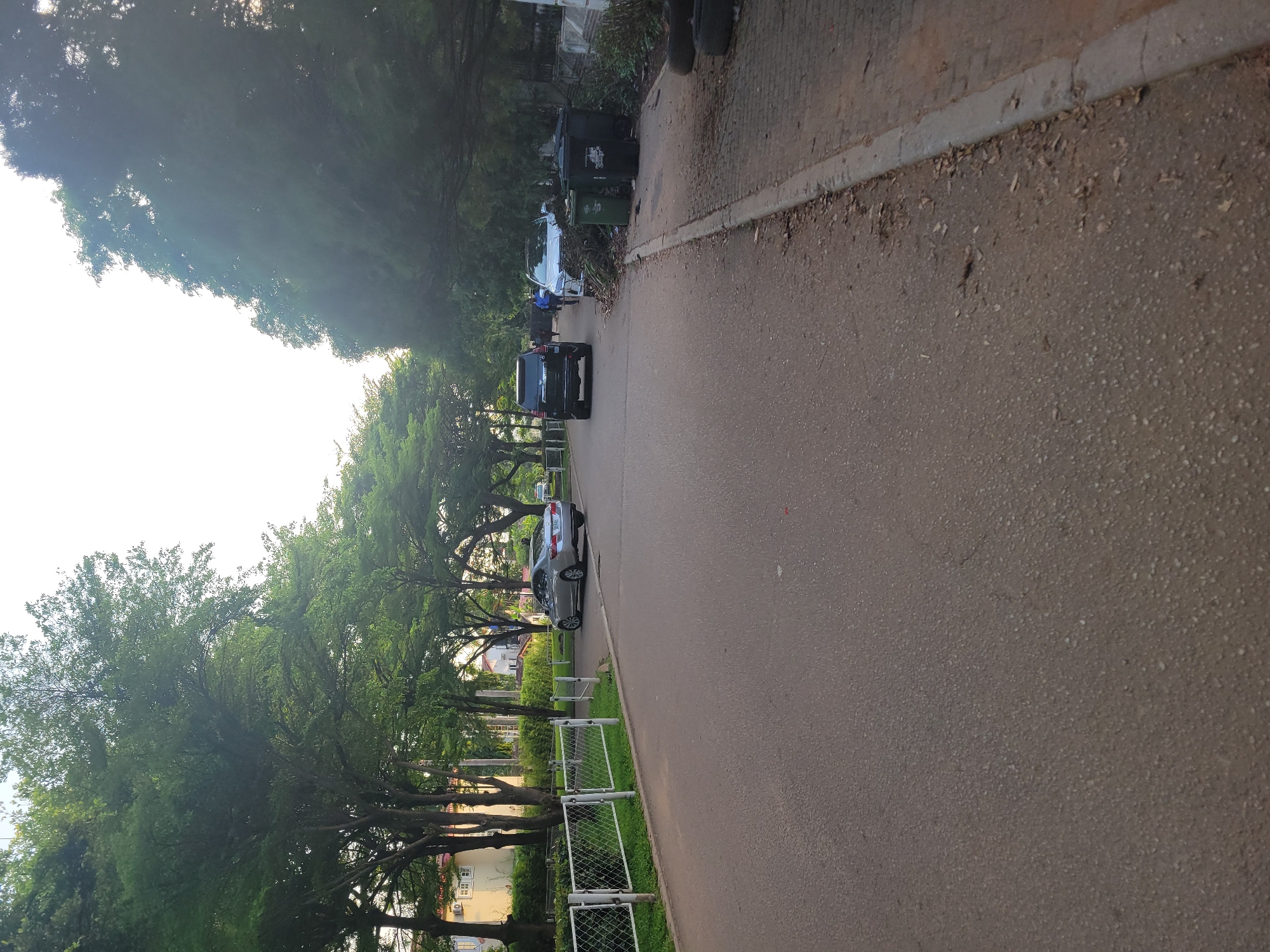 The image depicts a street scene in Abuja, Nigeria. A paved road runs through a tree-lined area, with lush green foliage on either side. In the distance, several vehicles are visible, including a silver sedan, a black SUV, and a white vehicle. A white metal fence with mesh inserts borders the left side of the road, separating it from a grassy area and some buildings. On the right side of the road, near the curb, are several large black and green trash bins. The sky is overcast, suggesting it may be a slightly hazy or cloudy day. The overall impression is of a well-maintained residential or administrative area within the city, characterized by ample green spaces and trees.