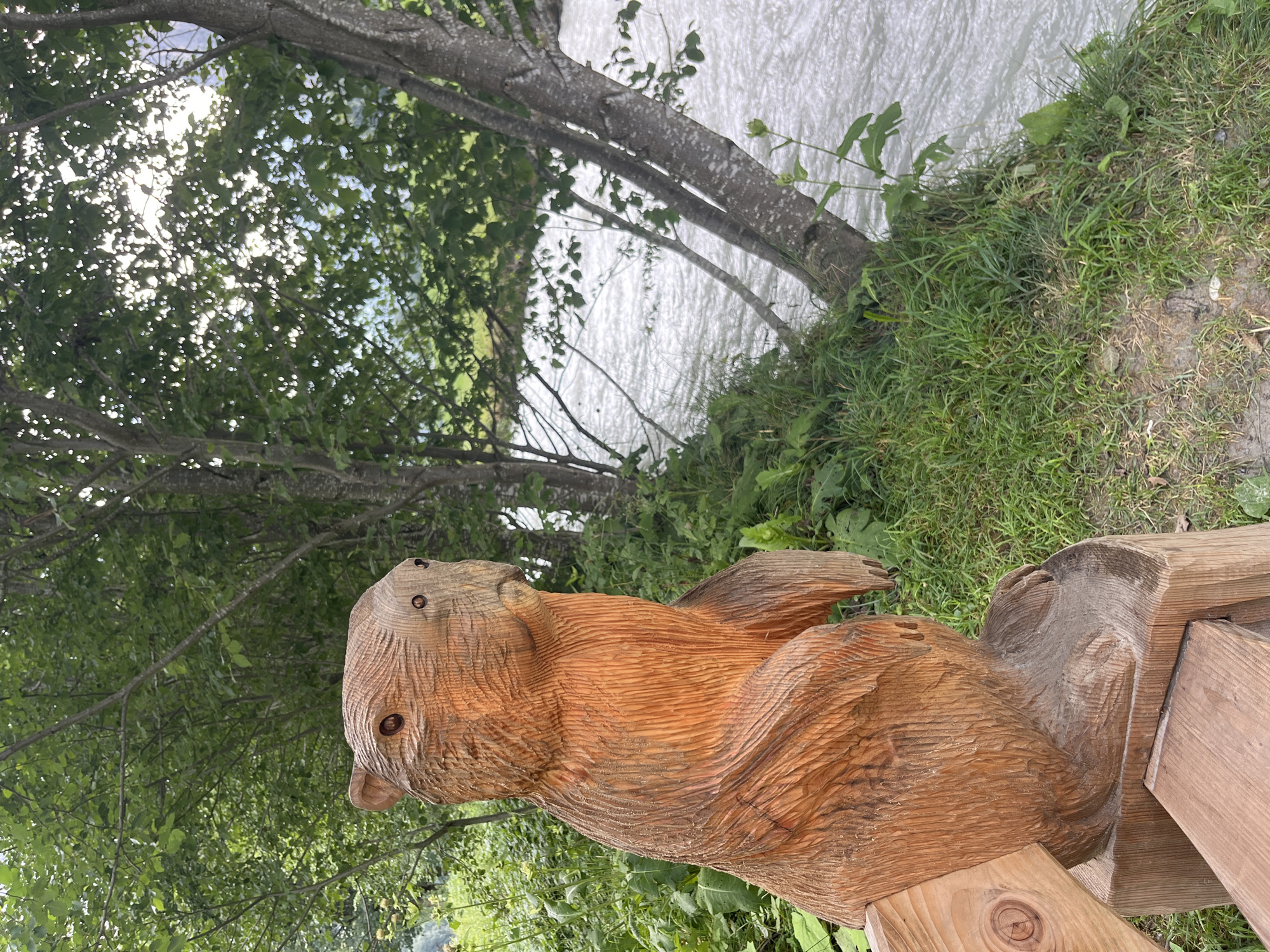 A wooden carving of a marmot is positioned on a wooden bench in Wengen, Switzerland. The marmot carving is situated in the foreground, with its head turned slightly to the right. Behind the carving, a river flows, with trees and foliage lining its banks. The sky above is overcast, with sunlight filtering through the leaves of the trees. The overall scene depicts a serene natural setting, characteristic of the Swiss Alps.