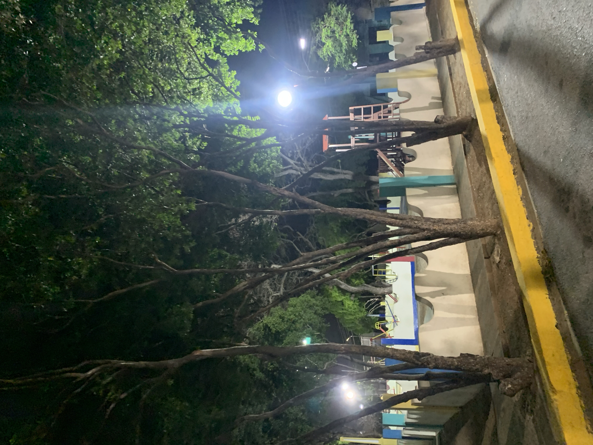 The image captures an outdoor scene at night, illuminated by artificial lights. On the left side, several mature trees with dark, gnarled trunks and branches extend upwards, their green foliage visible against the dark sky. A prominent, bright street light in the upper central area casts a strong glare, illuminating parts of the trees and surrounding structures. Other smaller light sources are also visible.
To the right, a dark grey asphalt road or pathway runs horizontally, clearly defined by a bright yellow curb. Behind the trees and adjacent to the curb, there is a low-rise, colorful structure, possibly a wall or building within a park or playground. This structure features sections painted in white, blue, light green/beige, and yellow, with an architectural style that includes crenellated tops, reminiscent of a castle. Faintly visible behind the trees and the wall are elements suggesting playground equipment, such as platforms and railings.
No people are visible, indicating a quiet and static scene. The setting appears to be a public recreational area or park alongside a road, under the cover of night. There is no visible text in the image. The location is contextualized as Santa Ana, Venezuela.