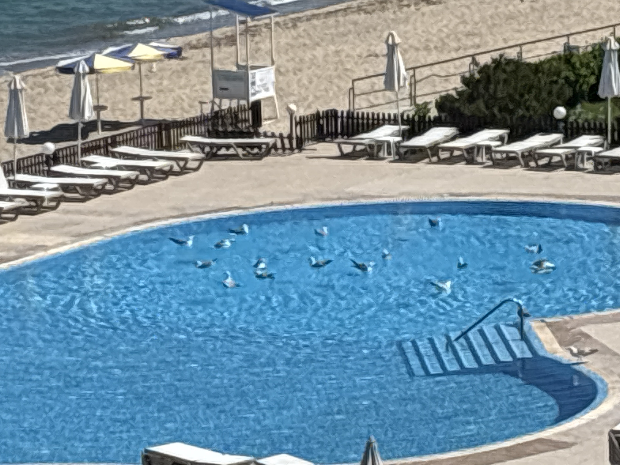 This is an aerial photograph of a swimming pool and a beach area. The pool is large and bright blue, with several lounge chairs and umbrellas on the surrounding patio. There are some birds in the water. The beach is sandy and appears to be empty except for a few beach chairs and umbrellas. There is a fence separating the pool area from the beach. The image is grainy, suggesting it may have been taken with a low-resolution camera or digitally enhanced. The scene is likely a resort or hotel in Varna, Bulgaria, a popular tourist destination on the Black Sea coast.