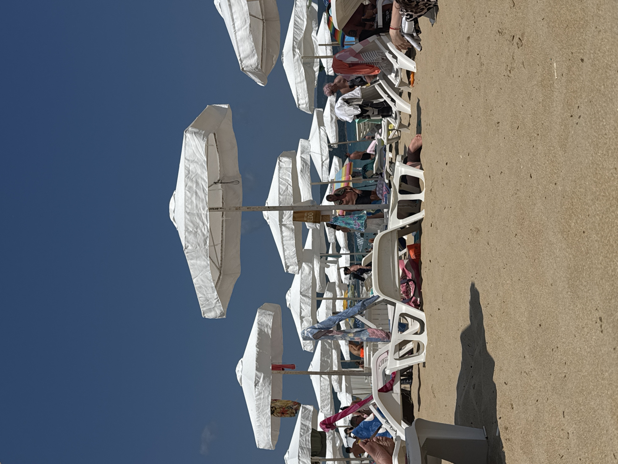 The image depicts a crowded beach scene in Primorsko, Bulgaria, on a sunny day. Numerous white beach umbrellas provide shade over rows of white lounge chairs, many of which are occupied by beachgoers. Several individuals are visible relaxing on the chairs, some partially obscured by the umbrellas and chairs. Towels and beach bags are scattered on the sand and draped over the chairs. In the background, the deep blue sea is visible, with a clear blue sky above. The sand is light brown and appears to be fine-grained. The overall atmosphere is one of a typical summer day at a popular beach resort.