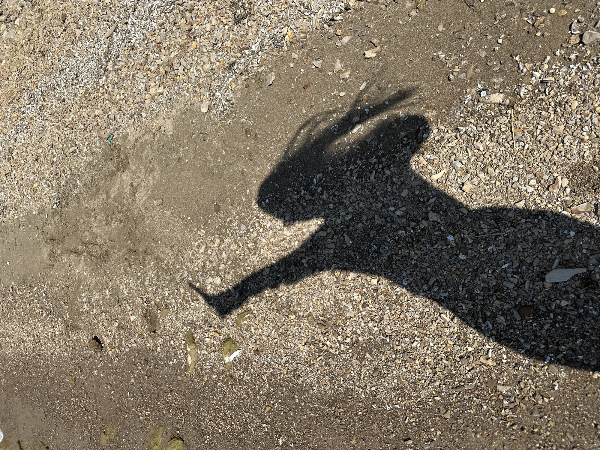 The image shows the shadow of a person on a beach. The shadow is cast by the sun and the person is standing on the sand and pebbles. The shadow is of a person with long hair, and they appear to be raising their arm in a gesture. The background is out of focus but appears to be a beach with sand and shells. The location is Gornyi Erik, Russia.