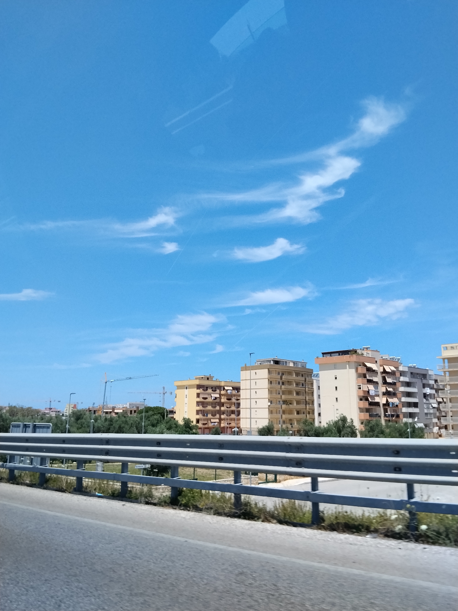 This image depicts a daytime scene in an urban or suburban area of Molfetta, Italy, captured from a moving vehicle. The foreground features a grey asphalt road surface occupying the bottom third of the frame. A three-tier silver metal guardrail, consistent with an armco barrier, runs horizontally across the lower mid-ground, separating the road from a dry, grassy verge with sparse vegetation. A small white sign is partially obscured behind the guardrail on the right.
The mid-ground reveals a dense line of dark green trees, likely Mediterranean species, acting as a visual barrier. Beyond the trees, the background is dominated by a collection of multi-story residential buildings, varying in color from light yellow and beige to white and grey. Many of these buildings feature balconies, some equipped with retractable awnings and displaying hanging laundry. In the distance, several tall construction cranes are prominently visible above and between the buildings, indicating ongoing construction or development in the area.
The sky occupies the upper half of the image, displaying a bright, clear blue with scattered, wispy white clouds. Faint linear contrails are present in the sky, suggesting aircraft activity. Reflections, likely from a window, are discernible in the upper left quadrant of the sky. The overall lighting suggests a sunny day with high visibility. No individuals or specific actions are depicted.