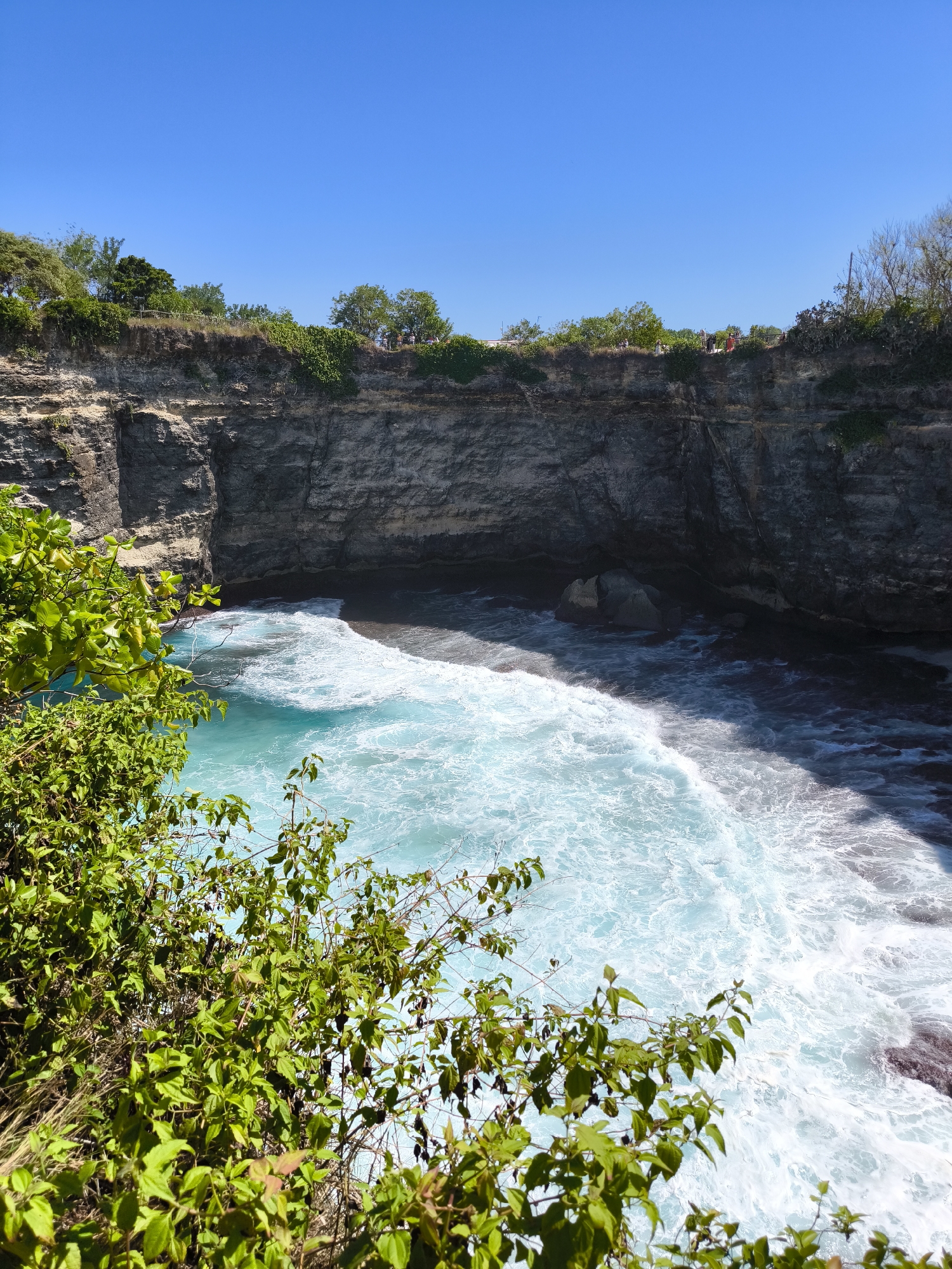 The image presents a high-angle view of a rocky cliff formation in Nusa Penida, Indonesia. The cliff face is composed of layered grey rock and partially covered with vegetation along its top edge. Atop the cliff are some people standing and observing the view, but they are a very long distance. Below, turquoise water churns vigorously, forming whitecaps. Green foliage, primarily leaves, dominates the lower left foreground, partially obscuring the view of the water. The sky above is clear and blue.