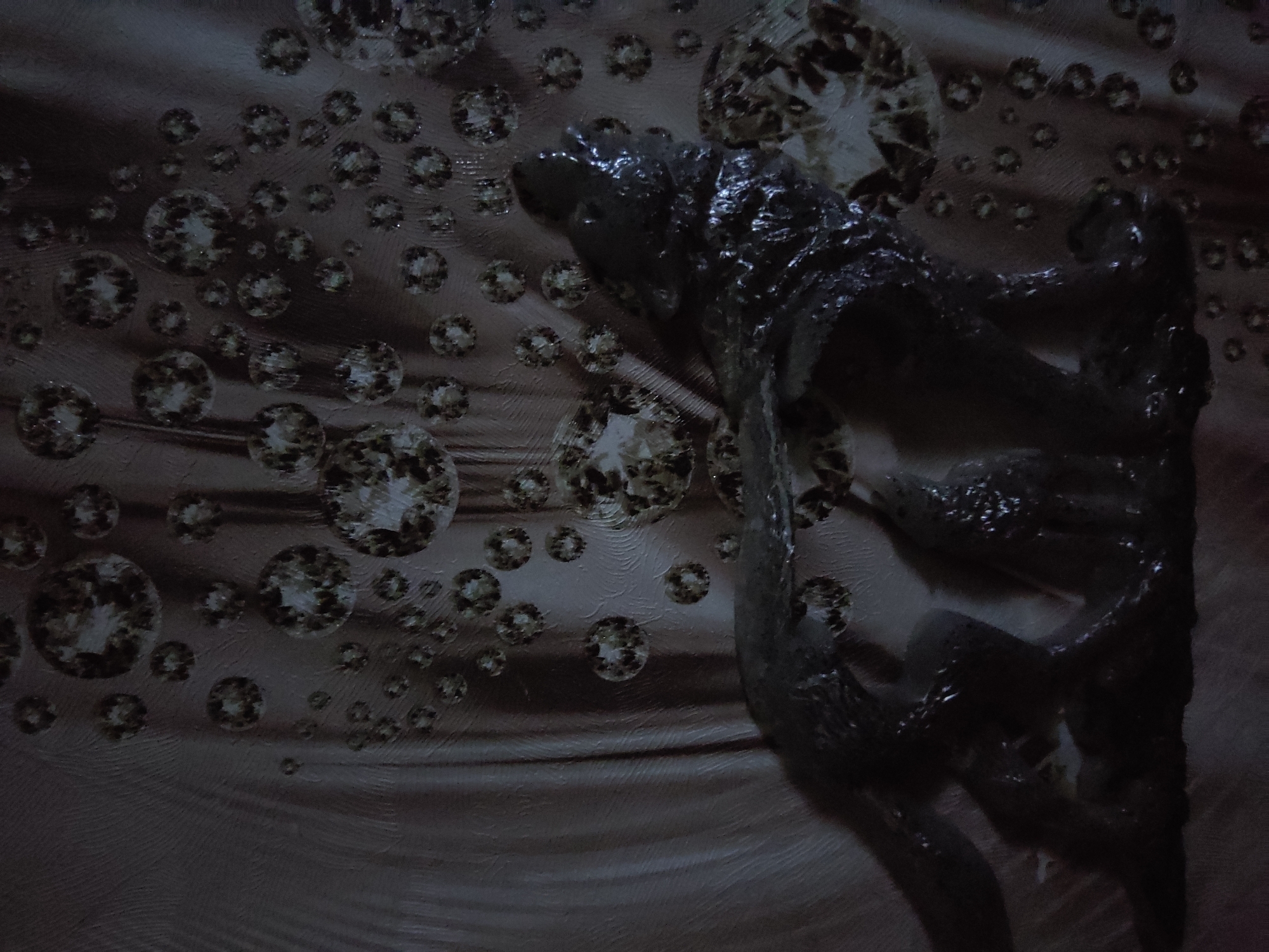 The image displays a dark, textured surface with a pattern of circular, gem-like elements scattered across it. In the foreground, there are two dark, shadowy figures that appear to be animals, possibly wolves, with one larger figure in front and a smaller one behind. The lighting is dim, casting shadows and highlighting the glossy texture of the figures and the raised patterns on the background. There is no discernible location in the city of Noginsk, Russia, visible in this image.