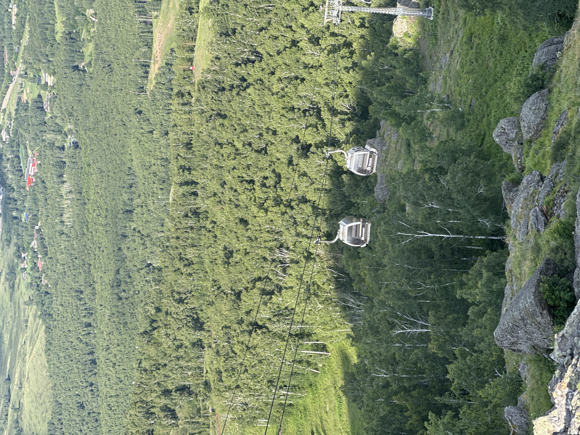 An eye-level, wide shot captures a verdant landscape from an elevated viewpoint, possibly a mountain. In the foreground, large, grey, weathered rocks are scattered across a grassy slope. Beyond them, a dense forest of green trees stretches into the mid-ground. The trees are a mix of lighter green, possibly birch, with their characteristic white bark visible, and darker green foliage.
Dominating the mid-ground and background is an expanse of forest, with a hint of a town or village visible in the far distance, nestled among the trees and on rolling hills.
Two gondolas, suspended from overhead cables, are visible in the image, traversing the forest. The gondolas are white and appear to be a modern design, with windows. One gondola is closer to the foreground and slightly to the left, while the other is further back and to the right. A tall, metallic tower, likely a support structure for the cable car system, stands to the far right of the frame, with another similar structure partially visible in the distance. The lighting suggests it is daytime, with sunlight casting shadows and highlighting the textures of the landscape. The overall impression is one of a natural, perhaps mountainous, area with infrastructure for tourism.